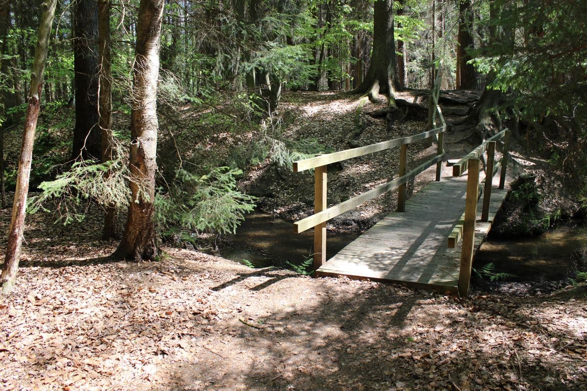 Wanderweg bei Scharnebecks Mühle