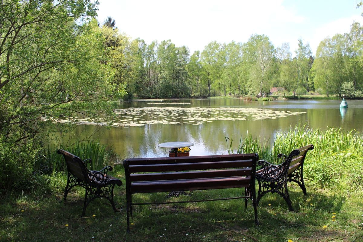 Gemütlicher Platz am Teich Scharnebecks Mühle: Ferienwohnungen