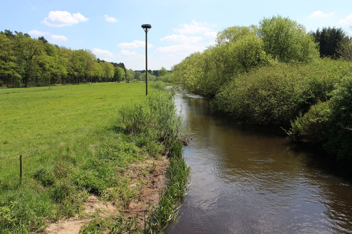 Örtze bei Scharnebecks Mühle: Ferienwohnungen