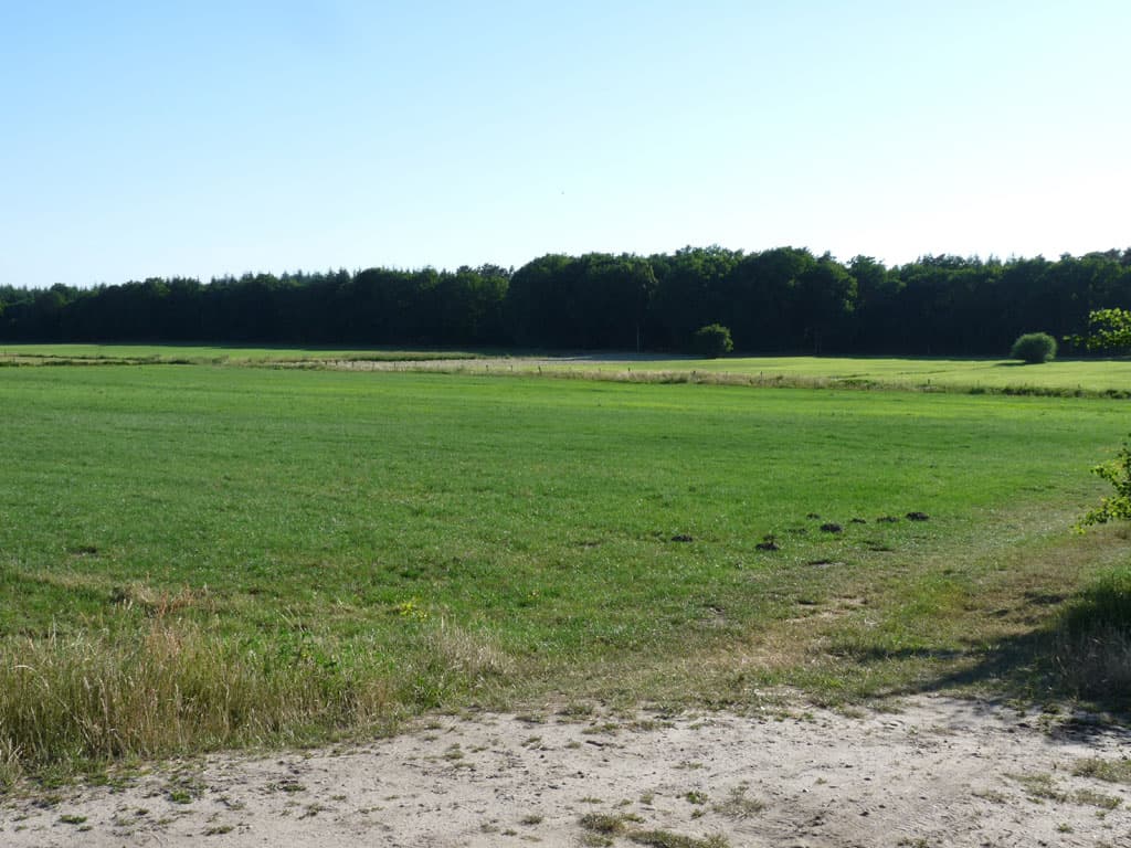 Umgebung der Ferienwohnung Wipperau Uelzen