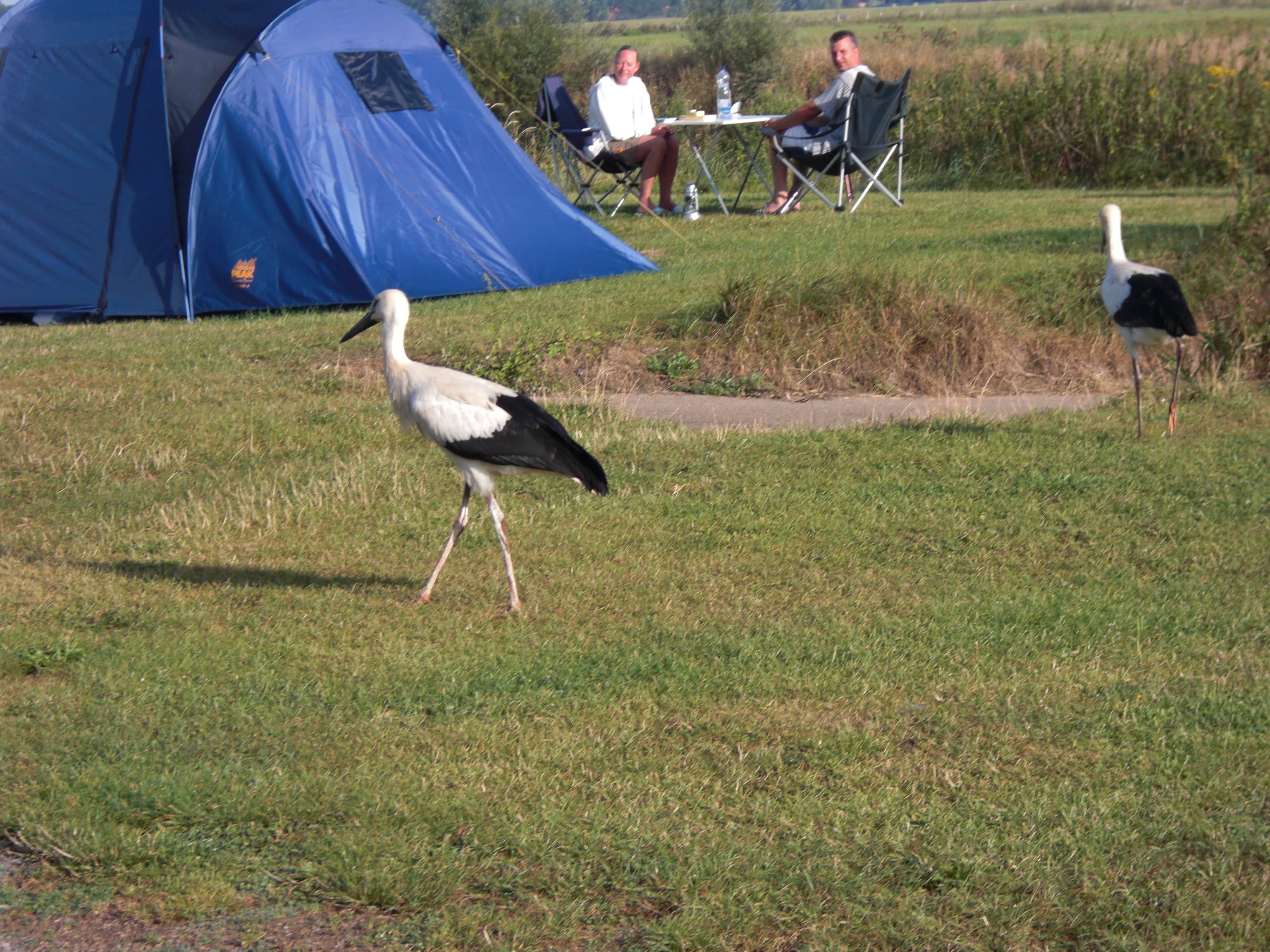 Zeltplatz in der Natur Campingplatz Rittergut Frankenfeld