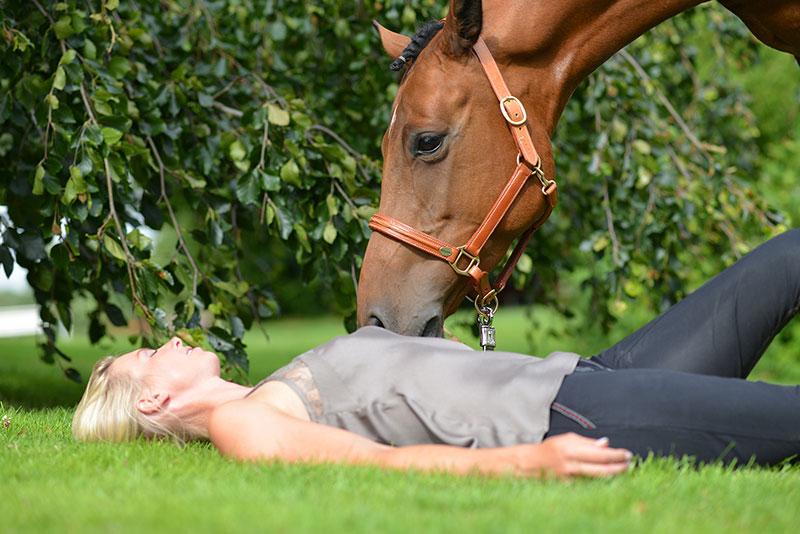 Pferdevertrauen erlernen Ferienhaus auf dem Heinshof