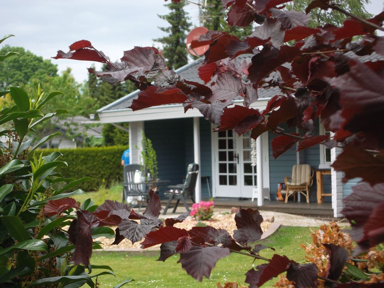 Müden Örtze Südheide Ferienhaus Schnuckenhuus