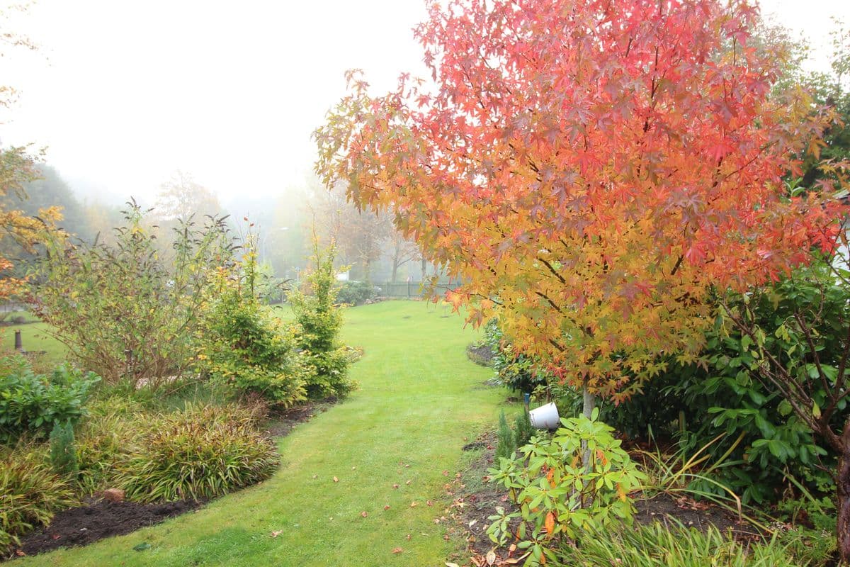 Ferienhaus Hansen Veranda herbst