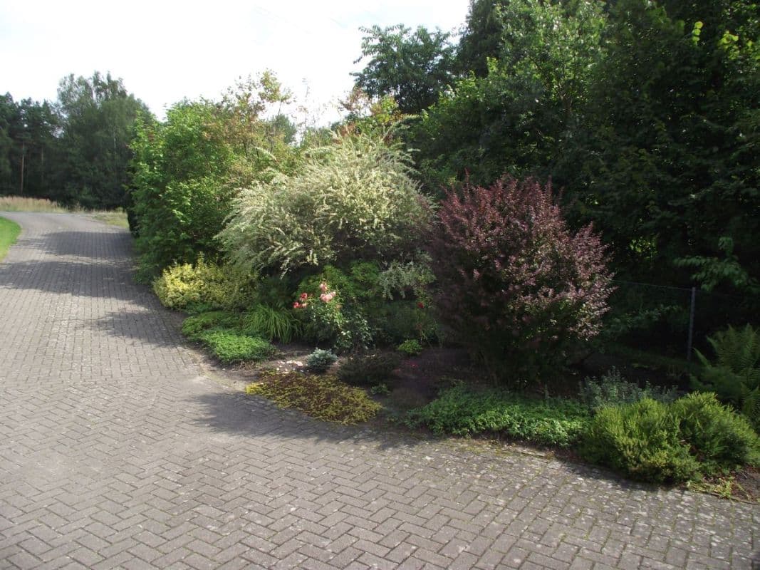 Hof der Ferienwohnung Krebs in Unterlüß