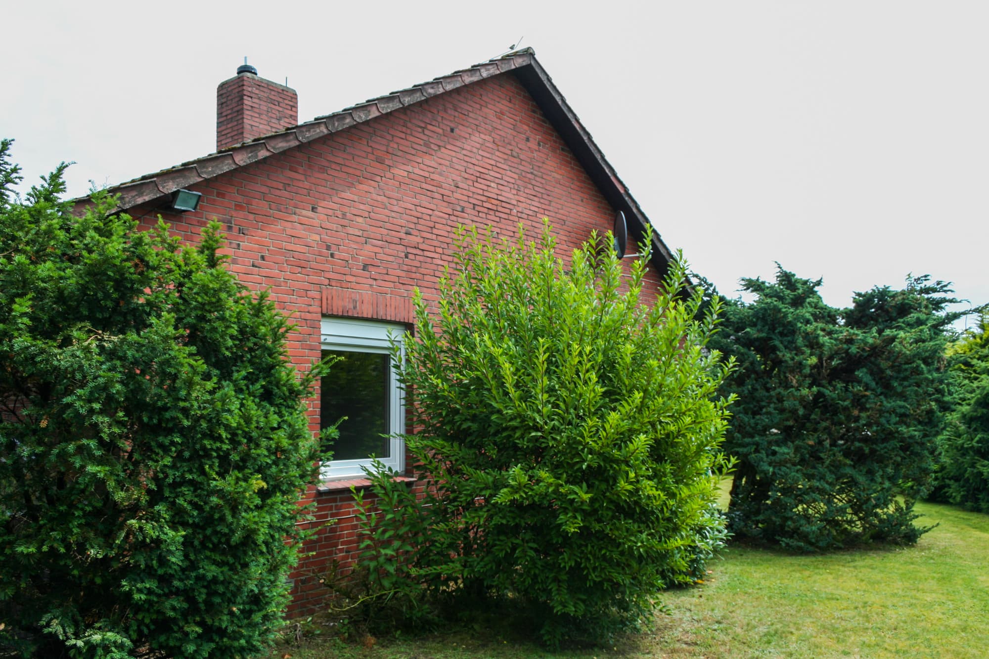 Seitenansicht des Ferienhaus Schneverdingen