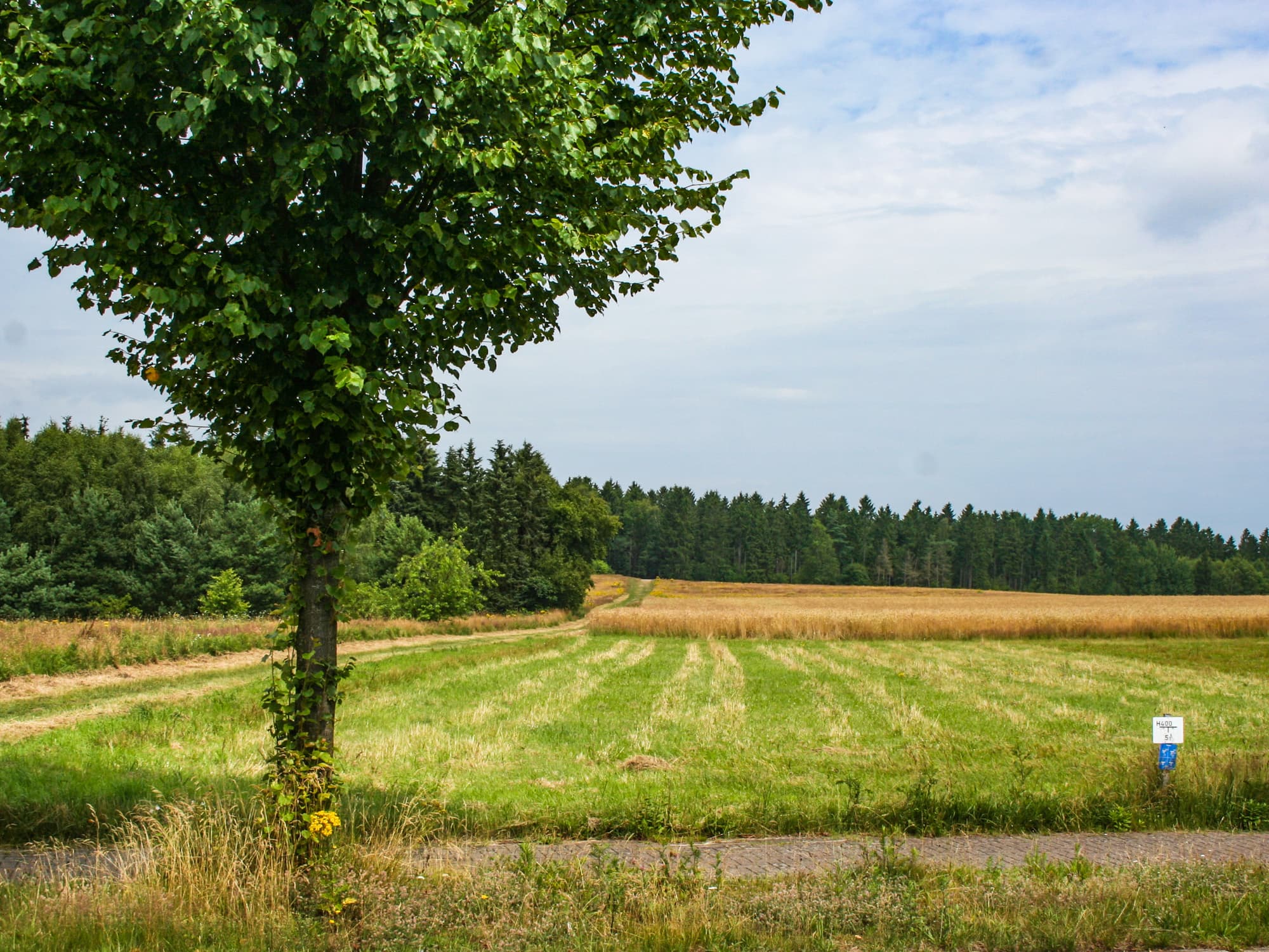 Ausblick des Ferienhaus Schneverdingen