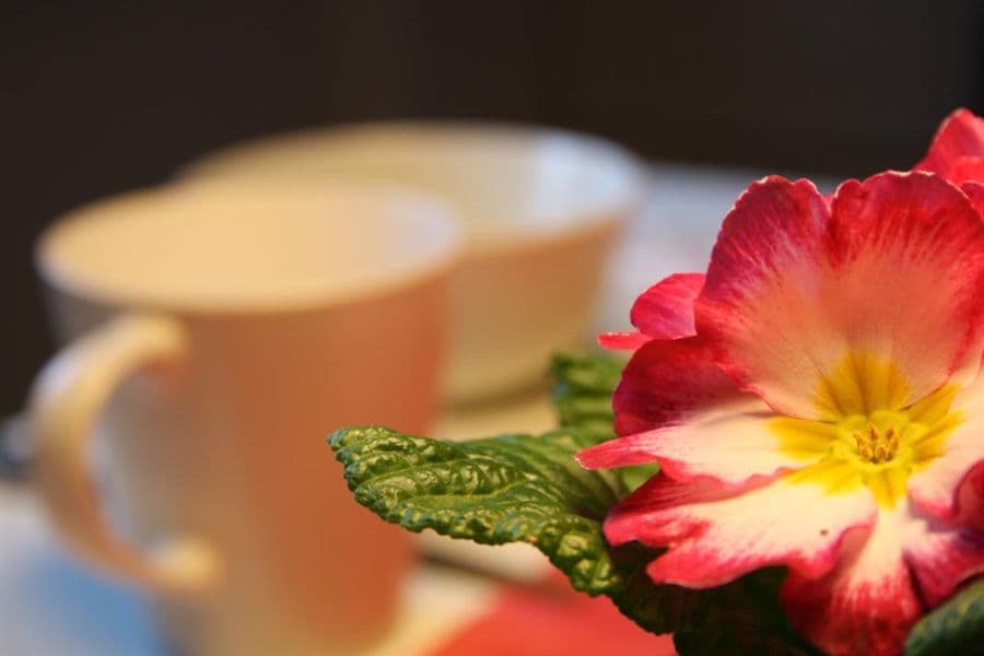 Detail Heidehuus Petersen