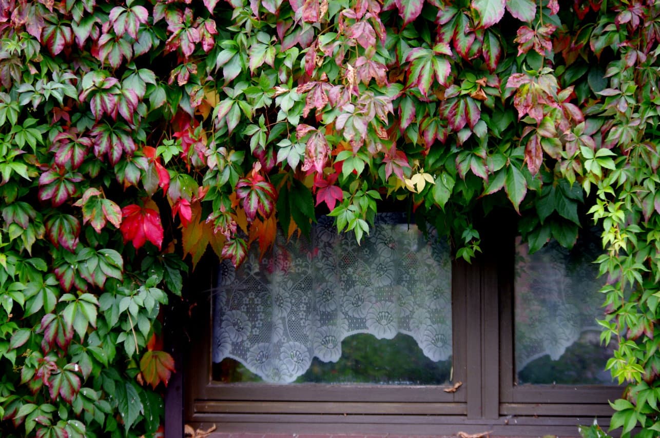 Fassade der Ferienwohnung Crow Valley in Hösseringen