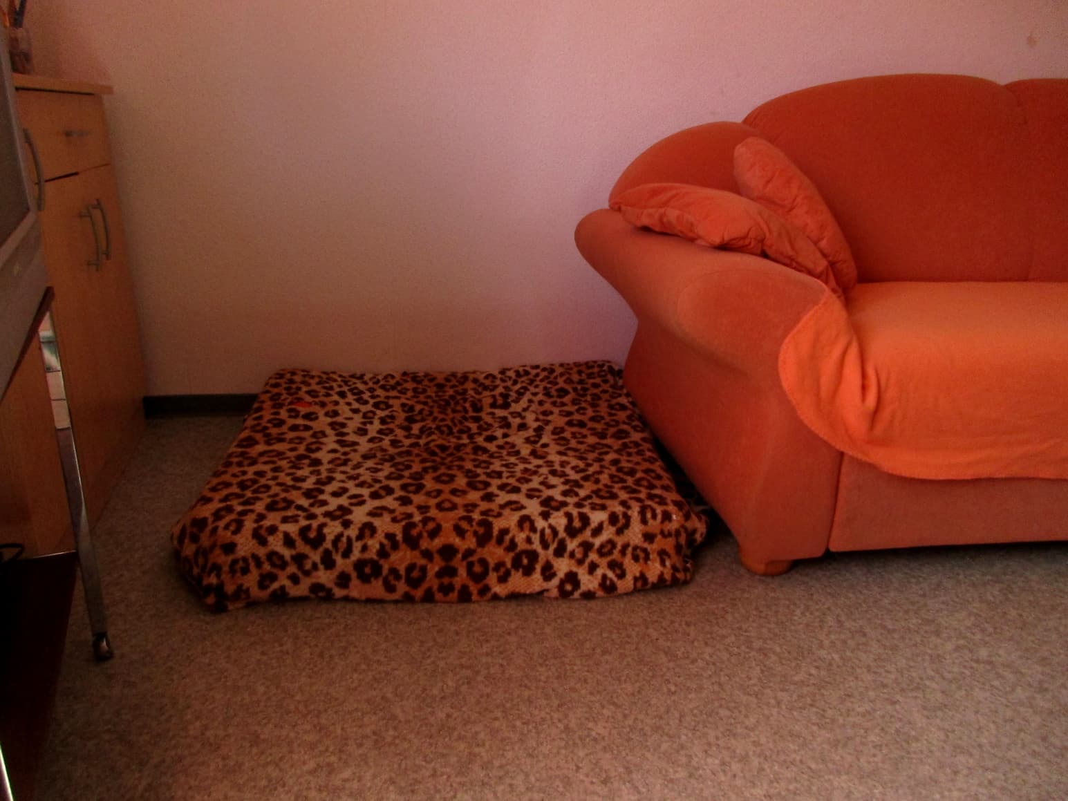 Hundeliegeplatz in der Ferienwohnung Crow Valley in Hösseringen