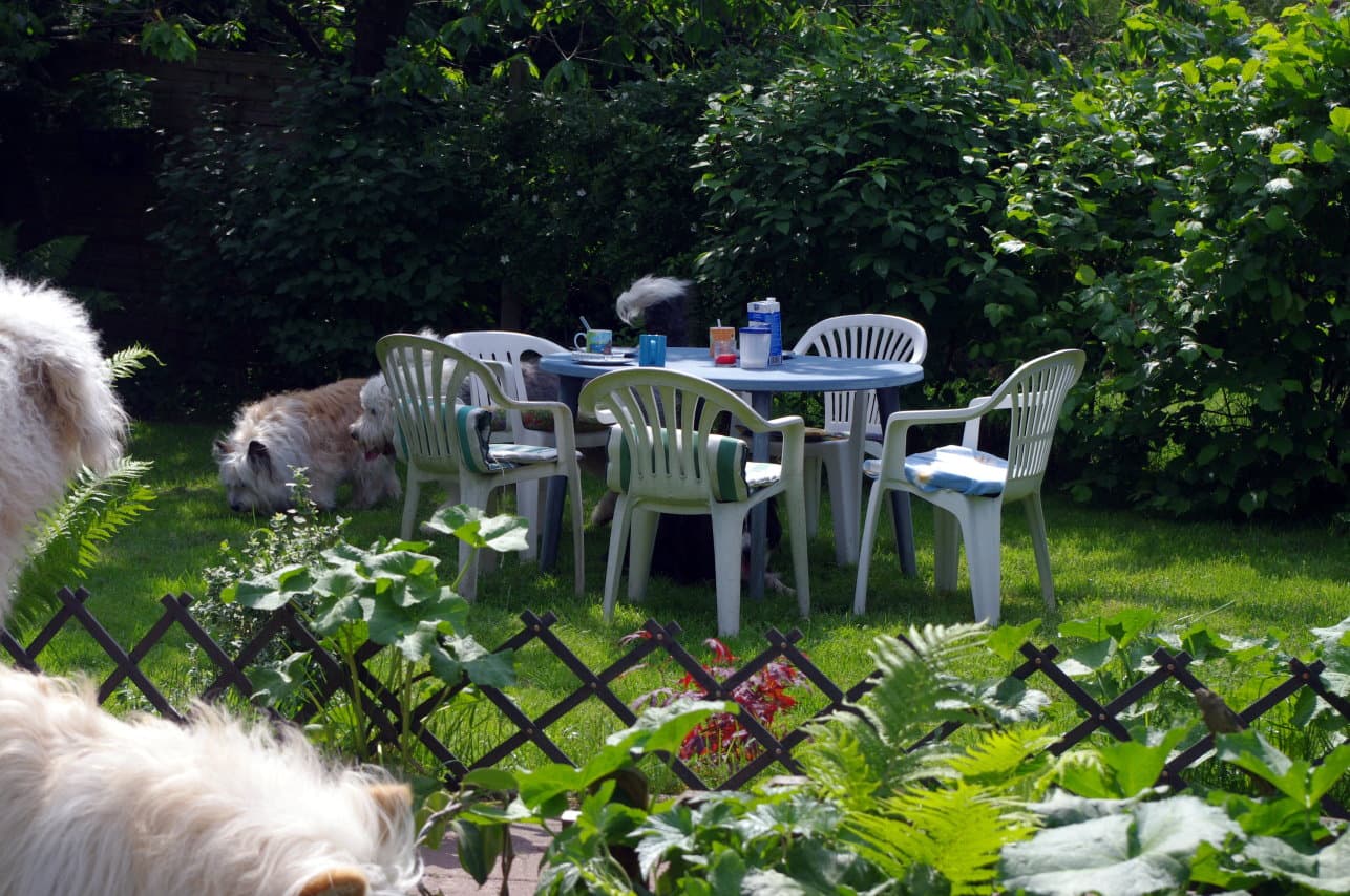 Garten der Ferienwohnung Crow Valley in Hösseringen