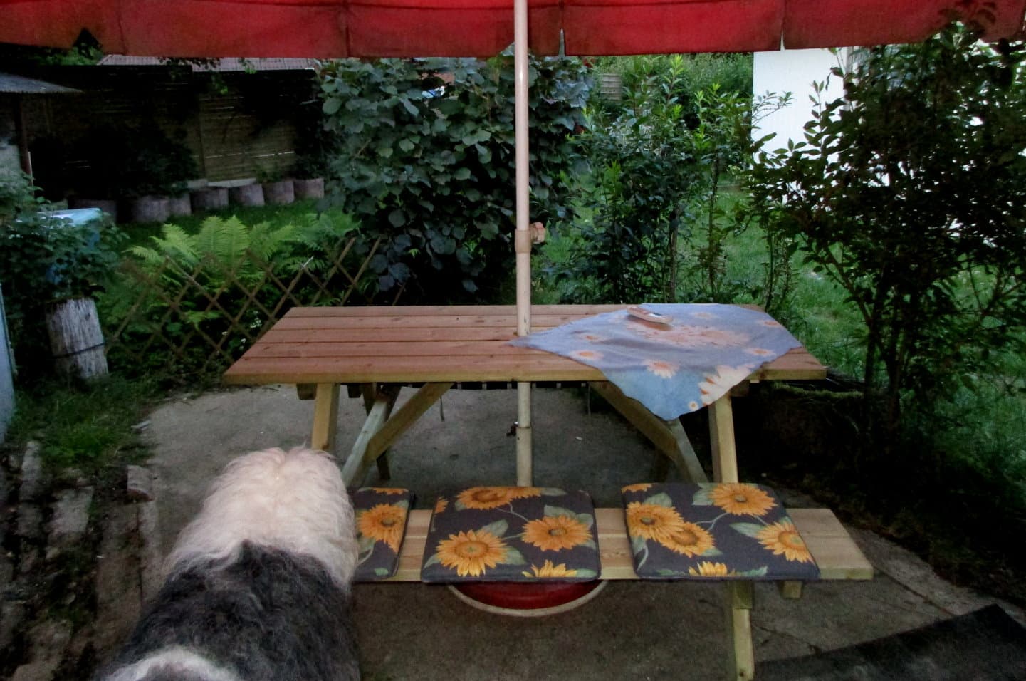 Garten der Ferienwohnung Crow Valley in Hösseringen