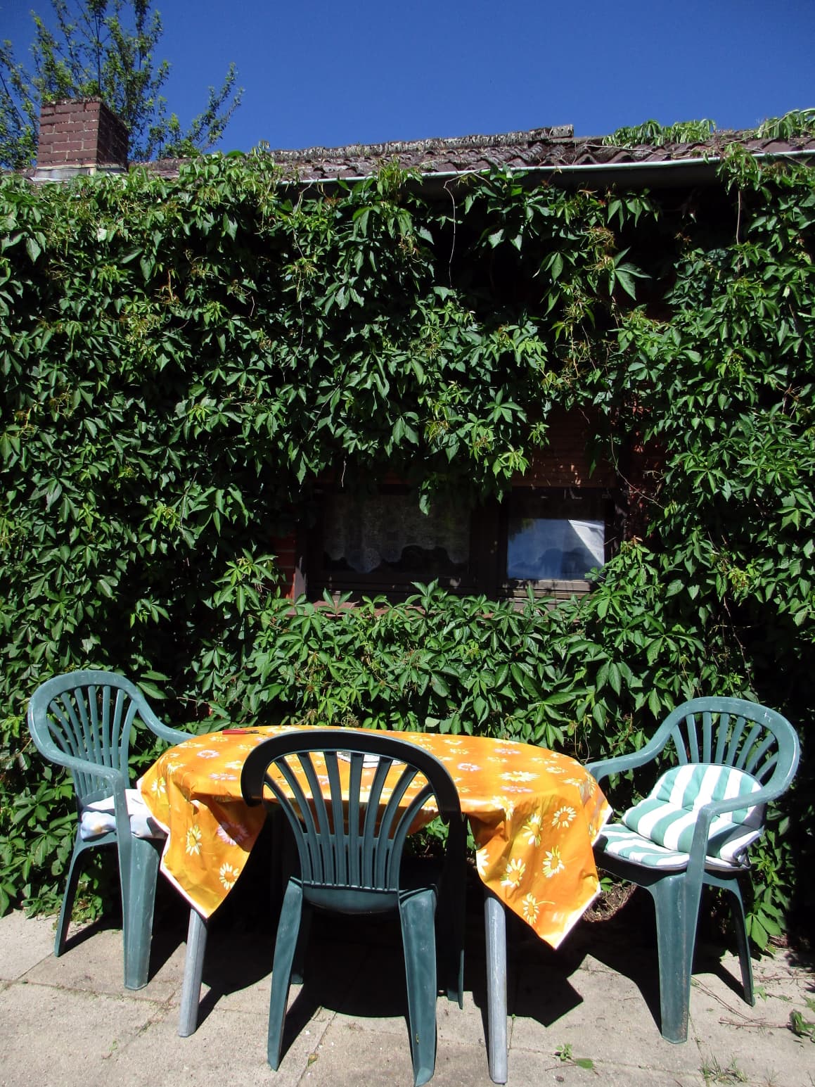 Garten der Ferienwohnung Crow Valley in Hösseringen