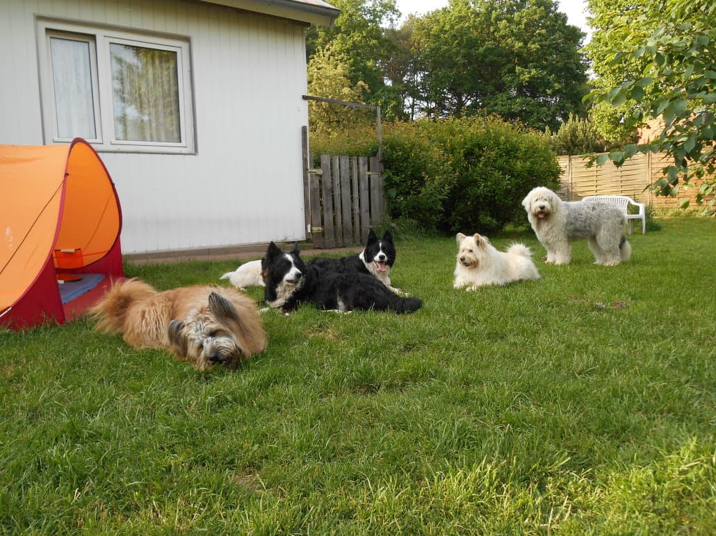 Garten der Ferienwohnung Crow Valley in Hösseringen