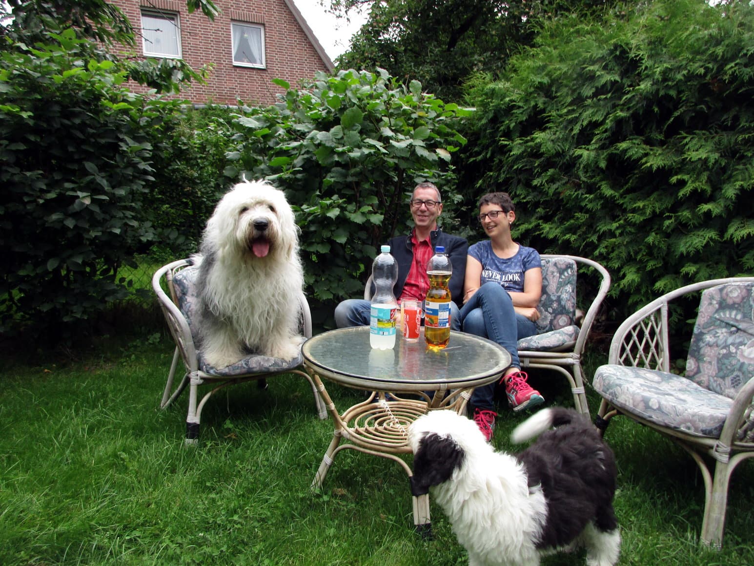 Garten der Ferienwohnung Crow Valley in Hösseringen