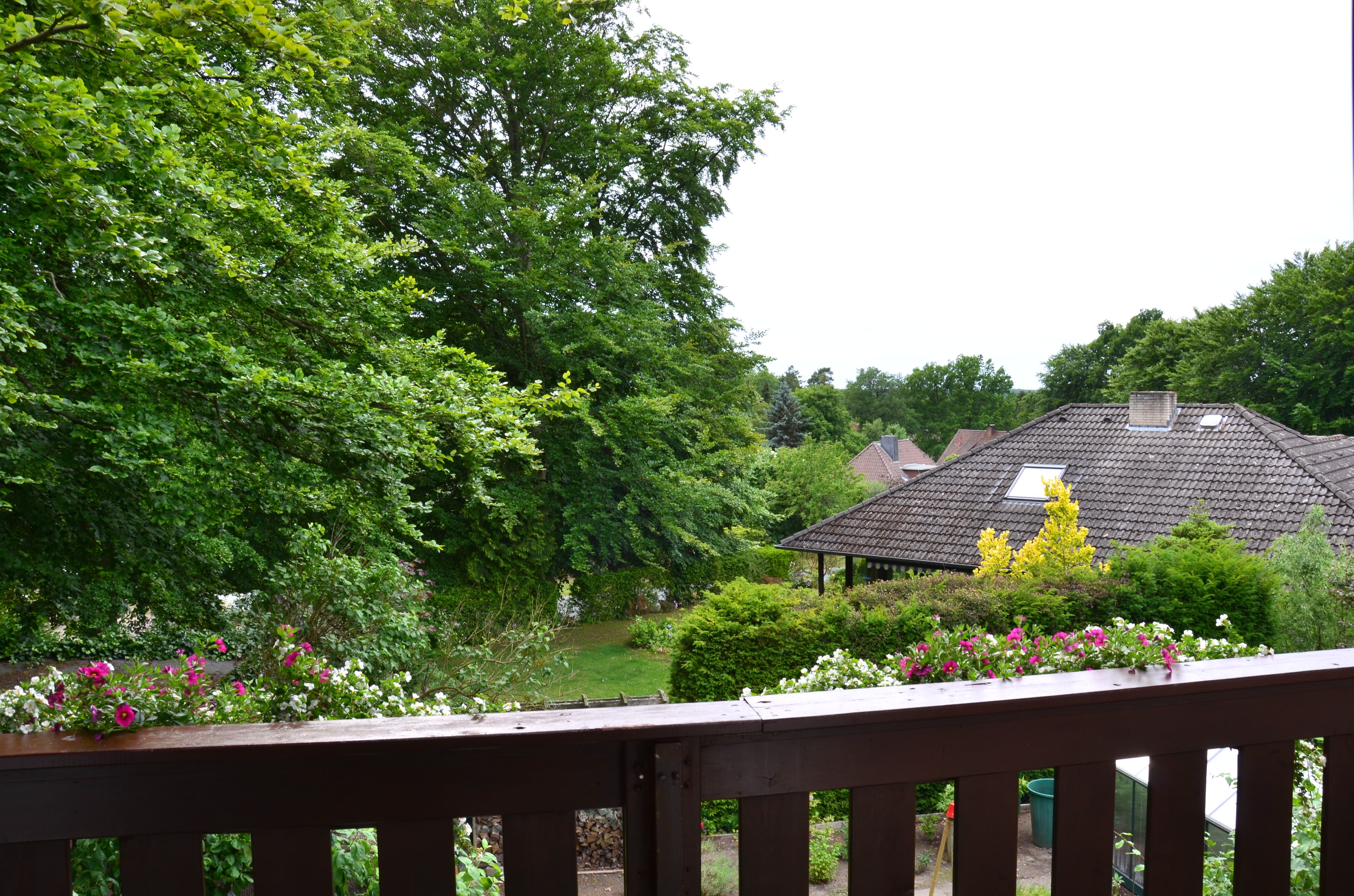 Ferienwohnung am Waldrand Blick vom Balkon