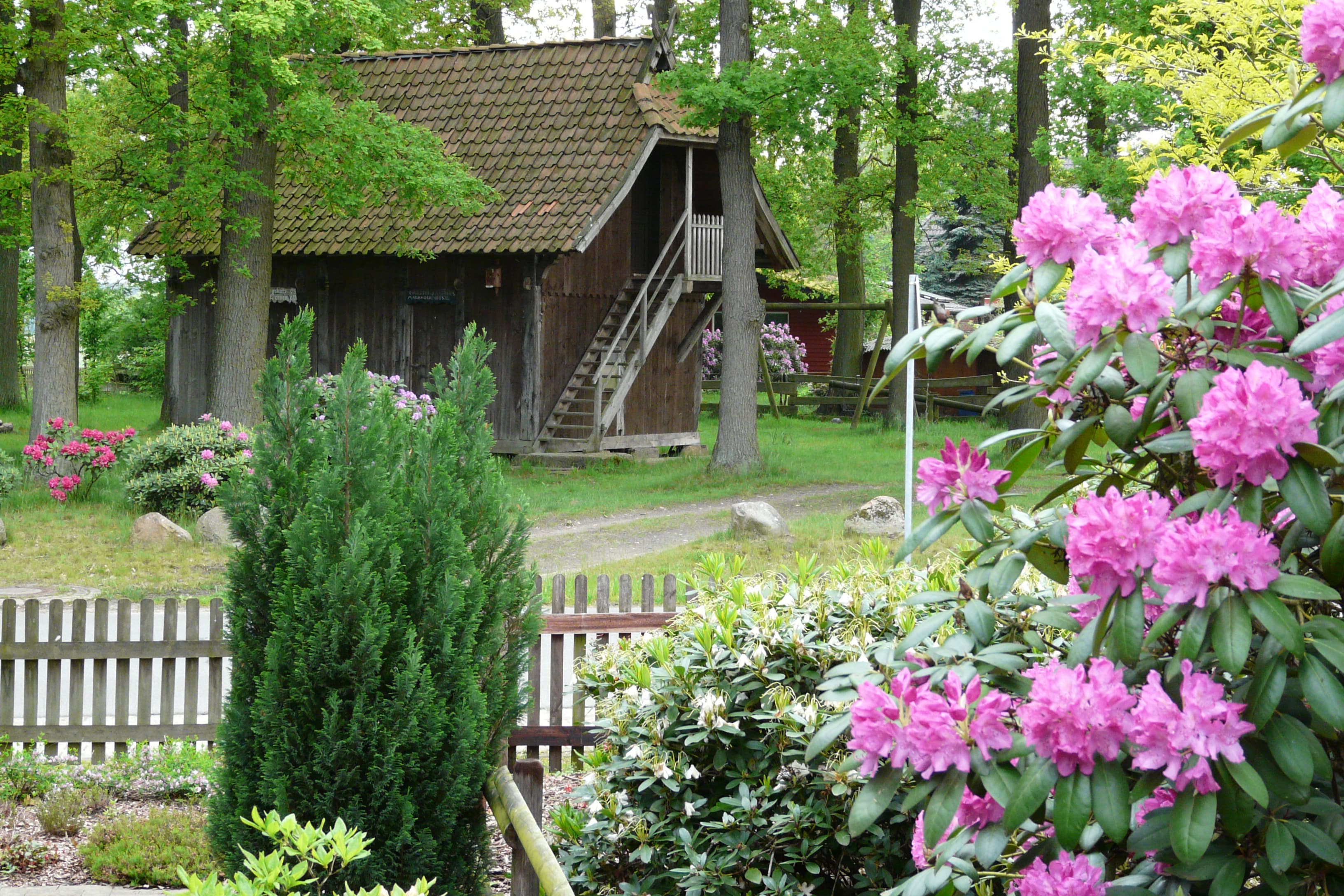Blick in den Eichenhain auf dem Hof Wiesengrund in der Südheide