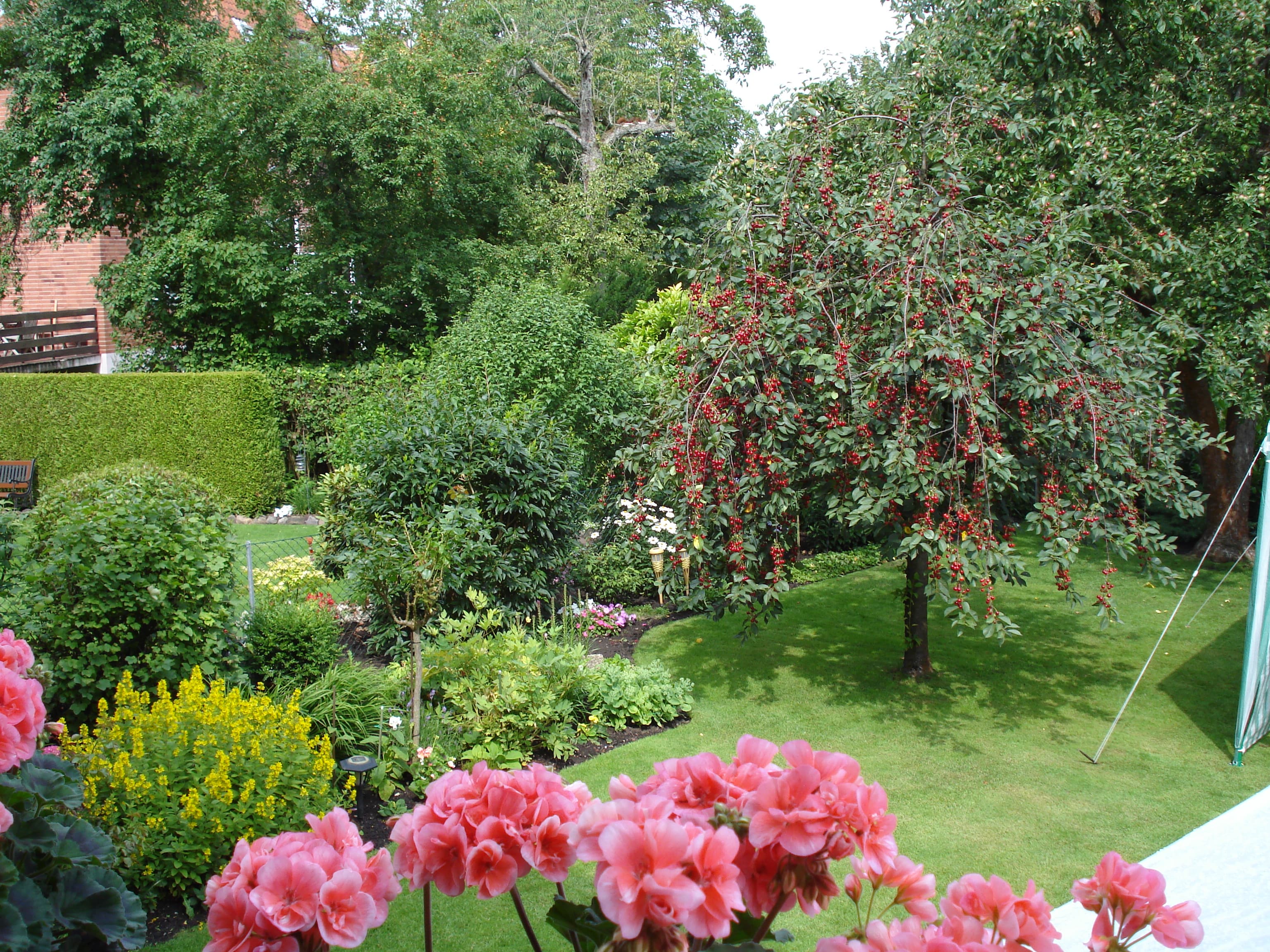 Ferienwohnung Pape in Lüneburg Hausgarten