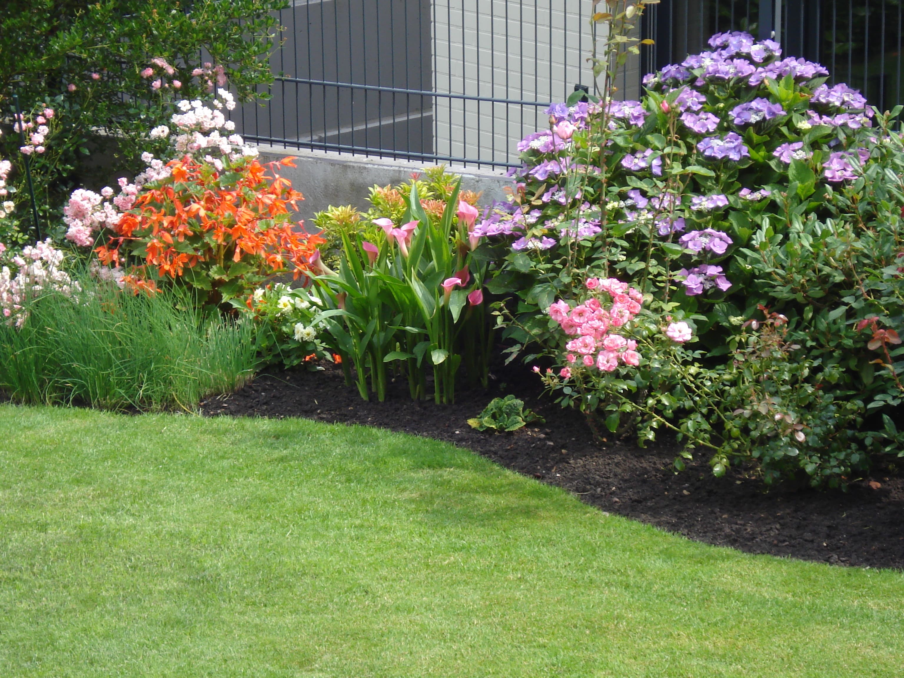 Ferienwohnung Pape in Lüneburg Hausgarten