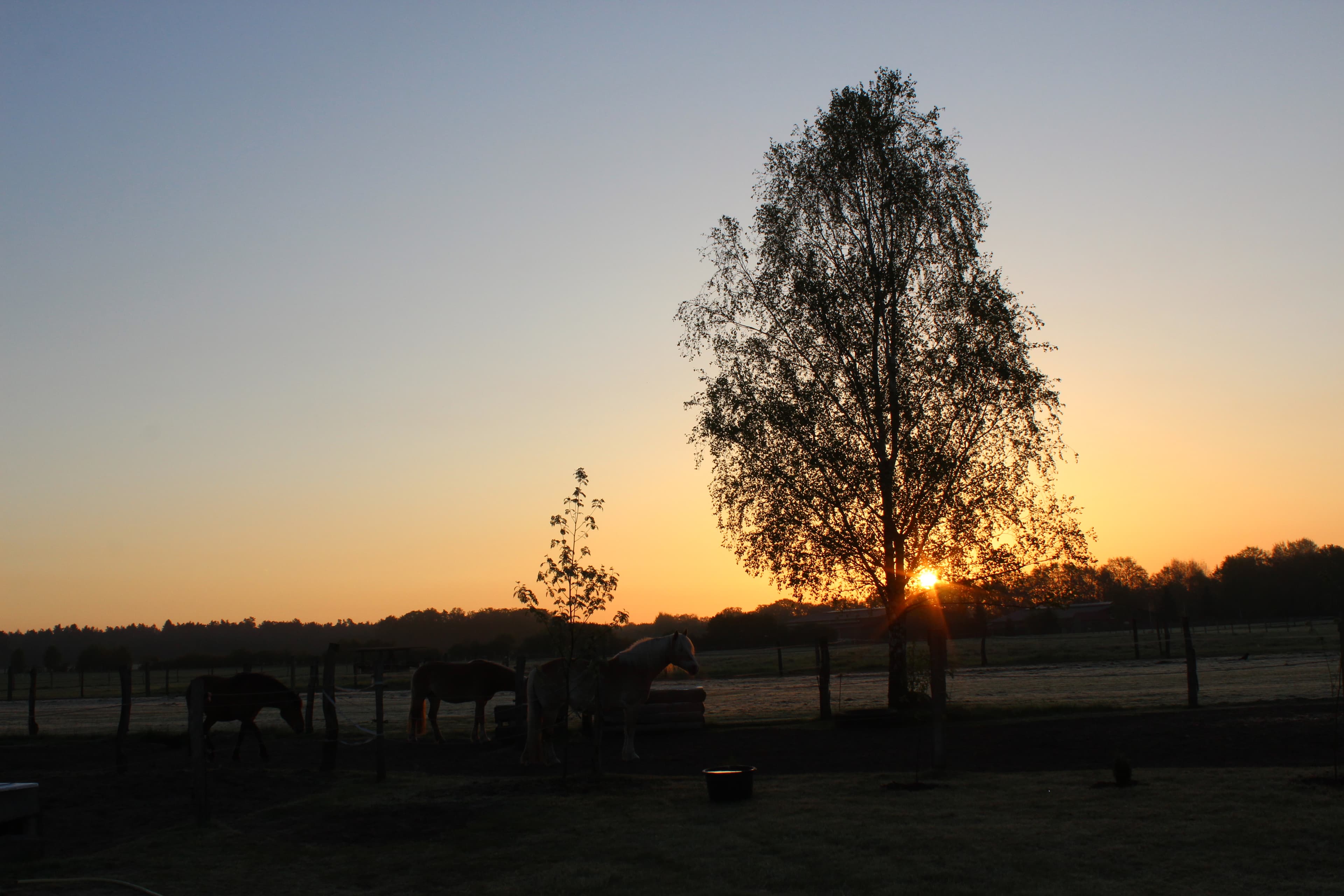 Ob die Luhe entlang oder einfach dem Sonnenaufgang entgegen, das Dorf bietet wunderschöne Naturschauspiele die das Herz höher schlagen lassen und die Seele zum Lächeln bringen.