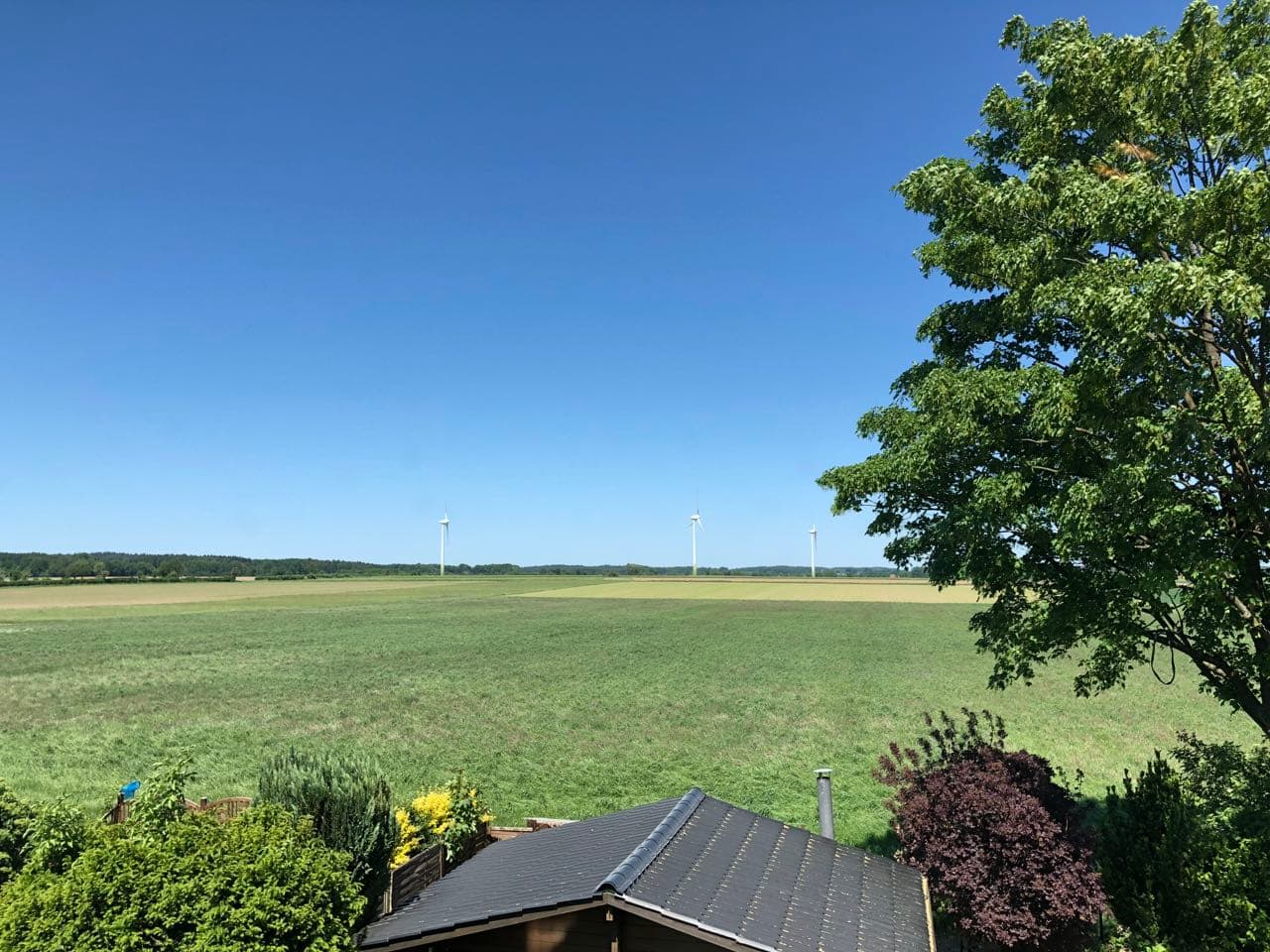 Außenbereich des Appartement-im-Rosengarten