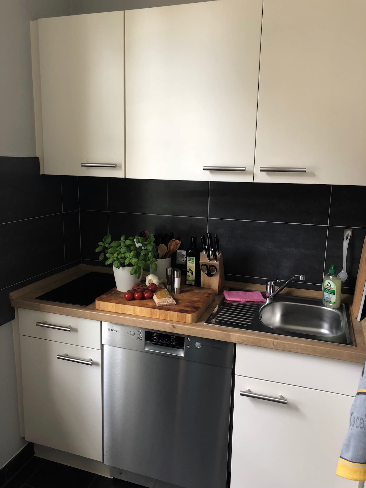 Küche mit Geschirrspüler in der Ferienwohnung Meinecke in Celle
