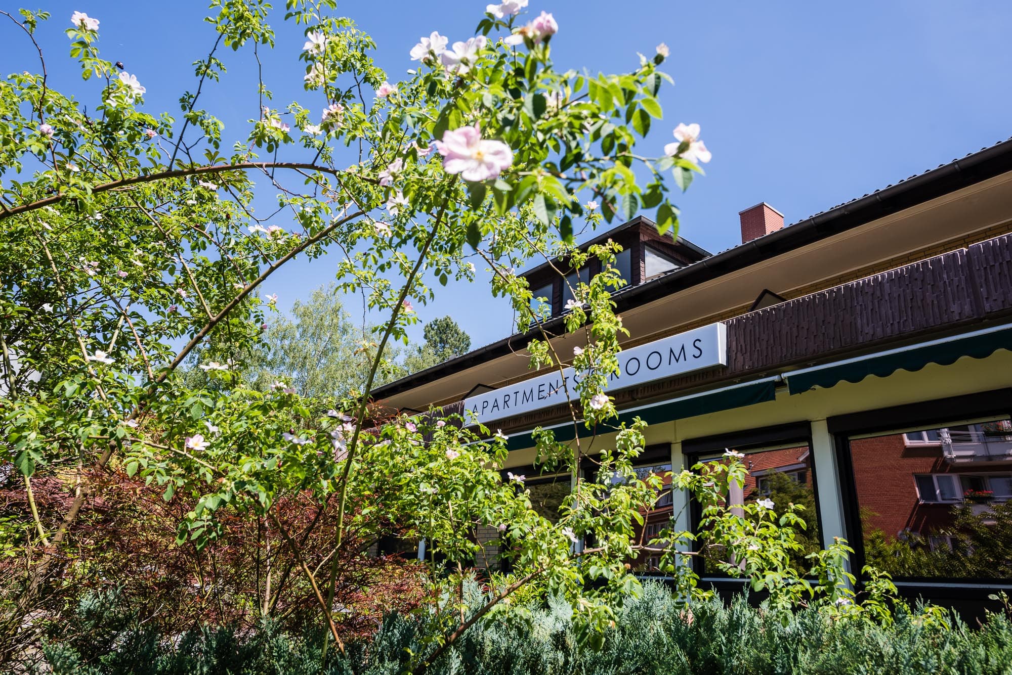 Außenansicht der Forest Apartments & Rooms in Bad Bevensen
