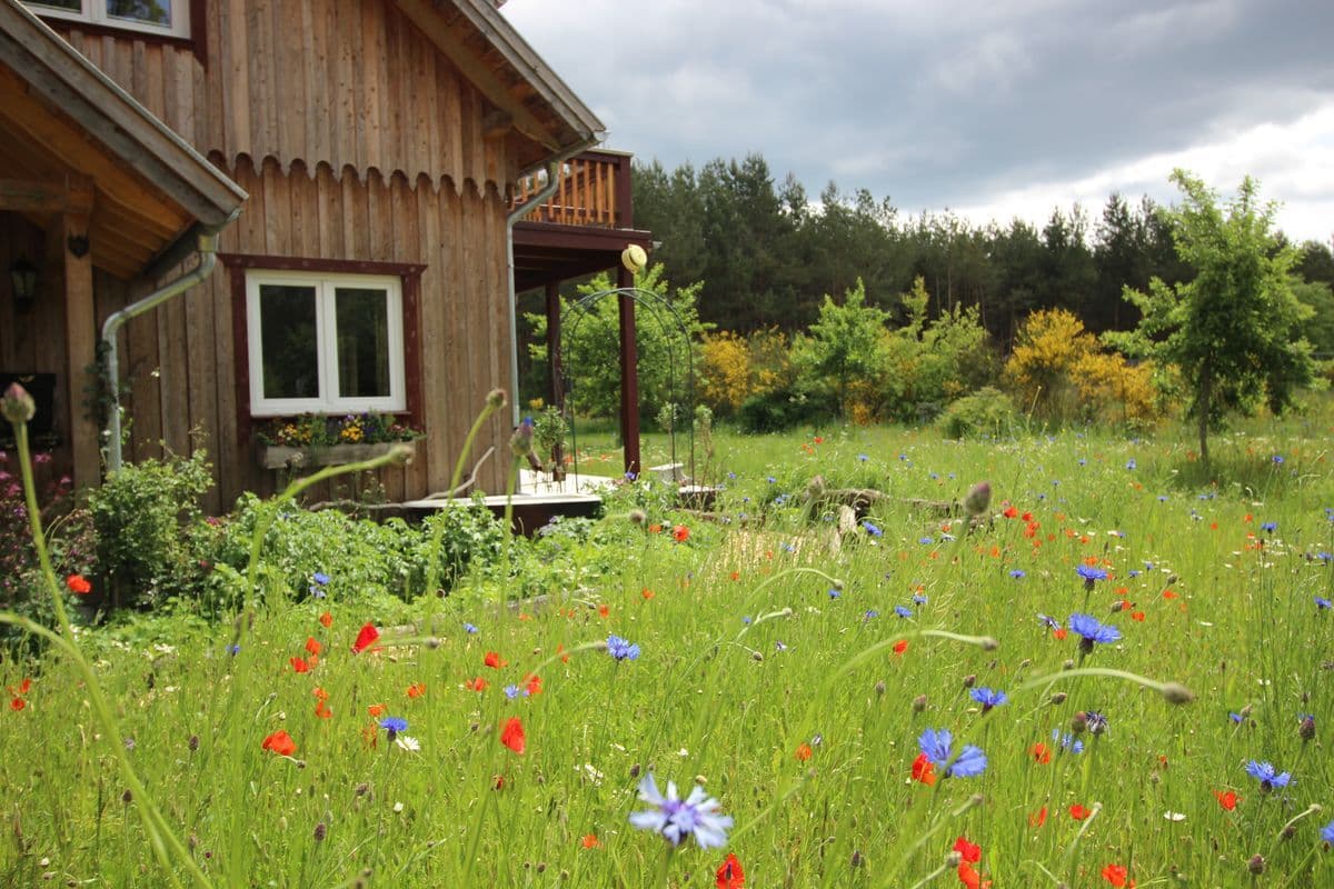 Blumenwiese vor dem Ferienhaus am Wegesrand