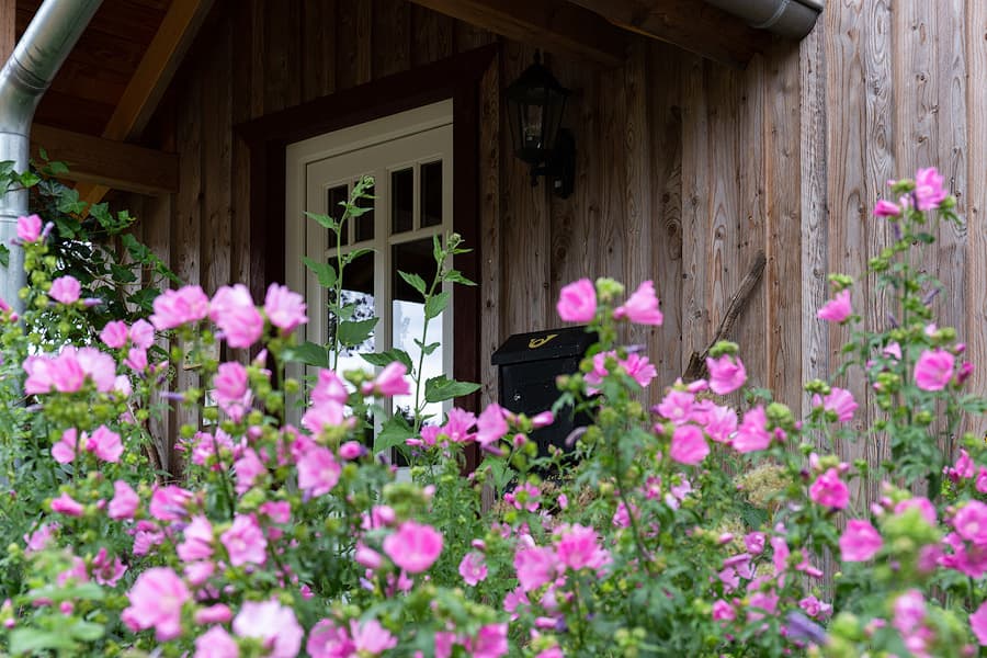 Blumenwiese rund ums Ferienhaus