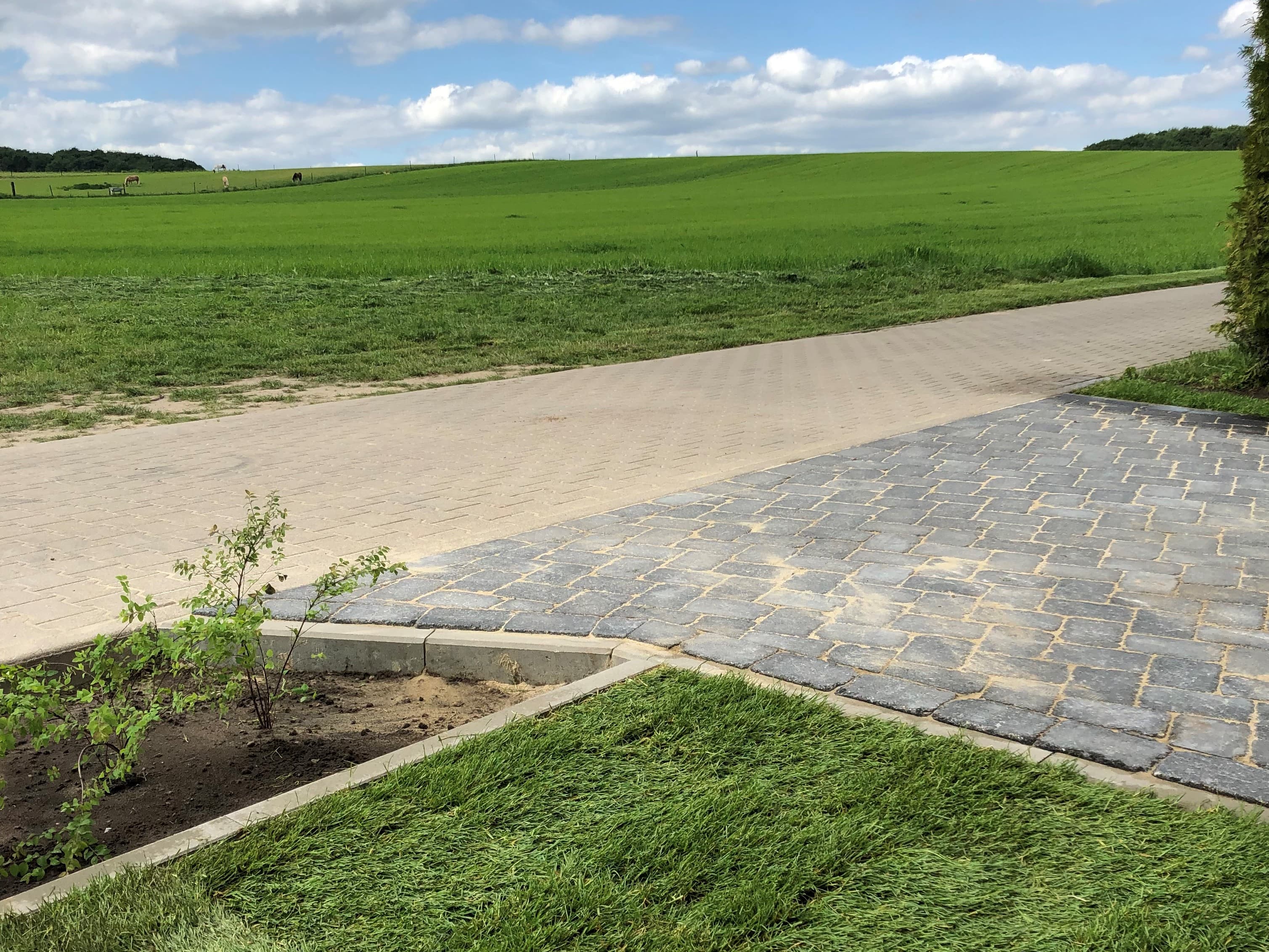 Ausblick aus Küche / Wohnzimmer