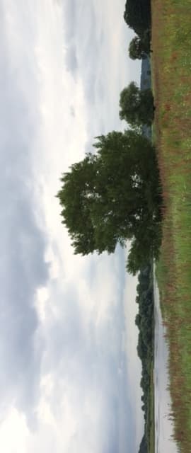 Flusslandschaft Elbe bei der Ferienwohnung Mühlenkate in Hittbergen