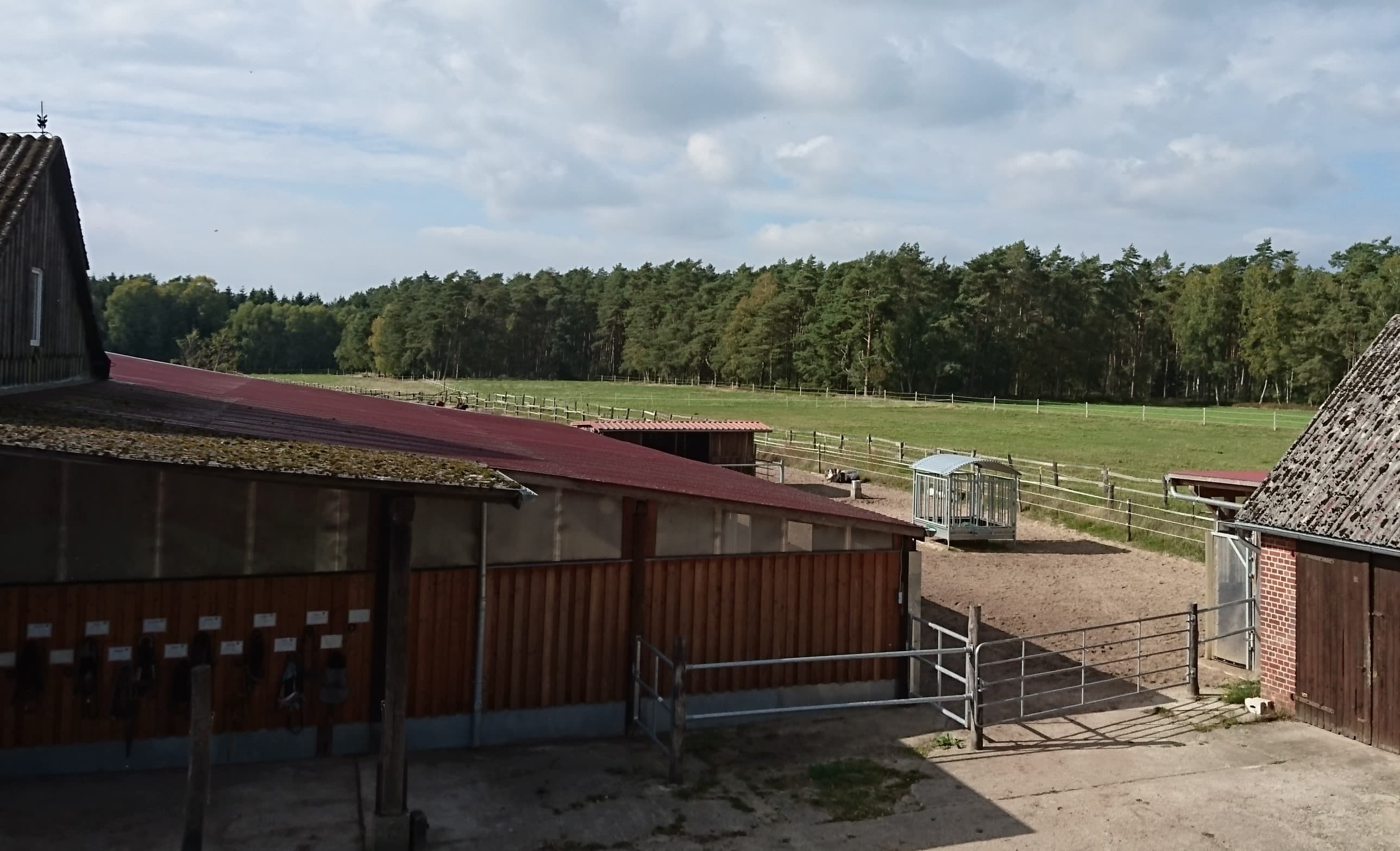 Blick vom Balkon der Ferienwohnung "Blick auf die Wallachherde" in Soltau