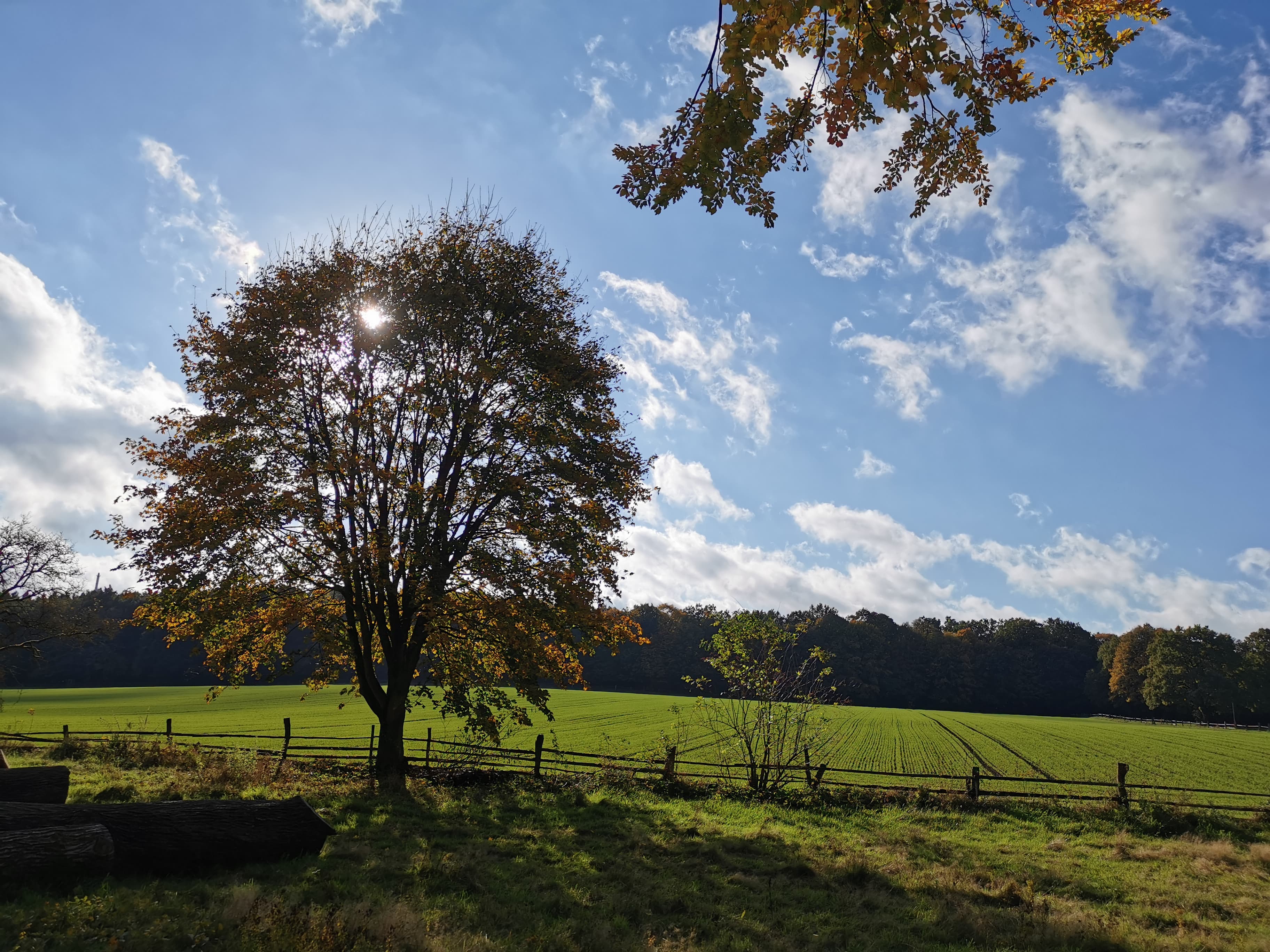 Ausblick Waldhuuske Herbst