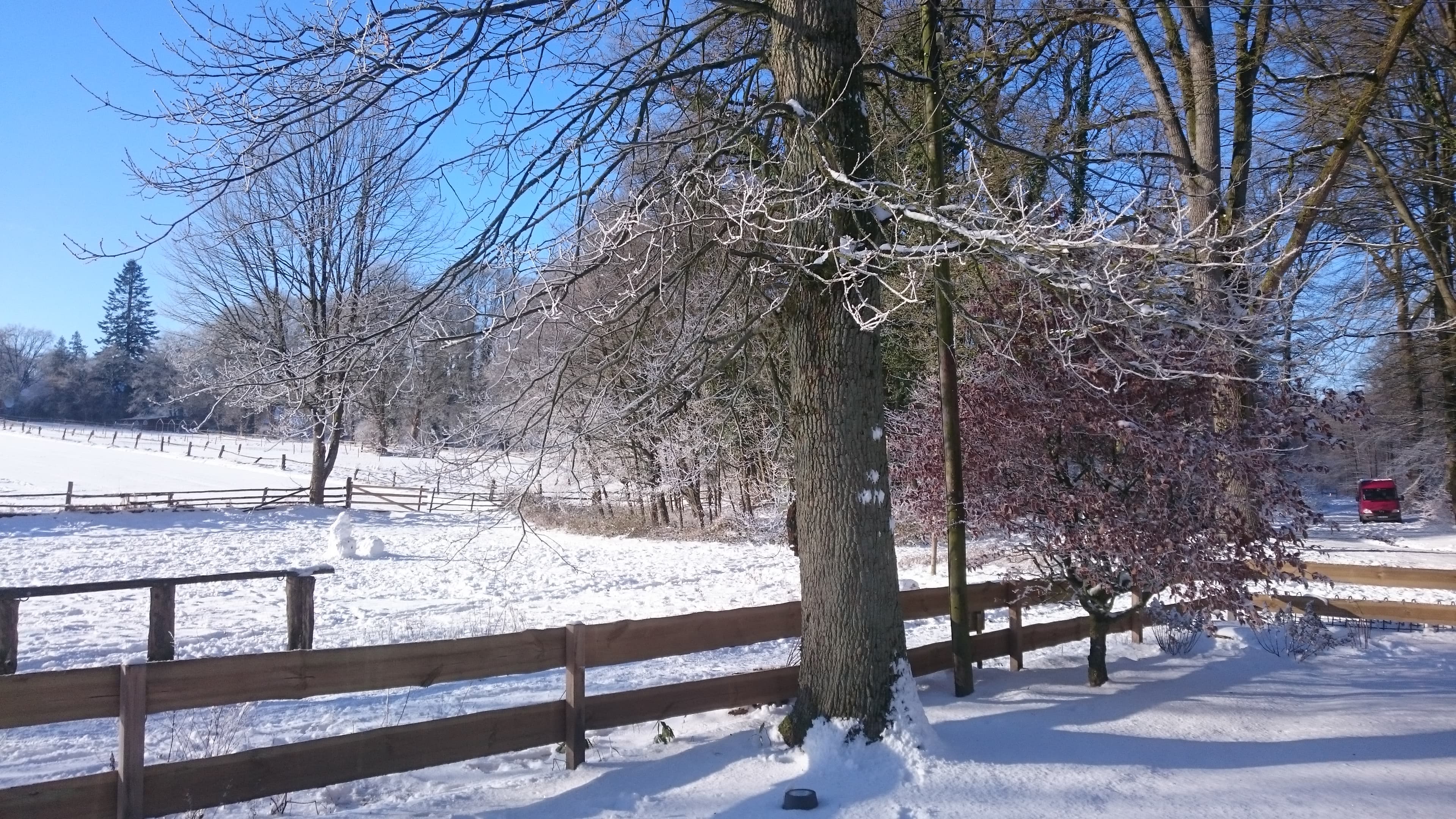 Ausblick Waldhuuske Winter 2