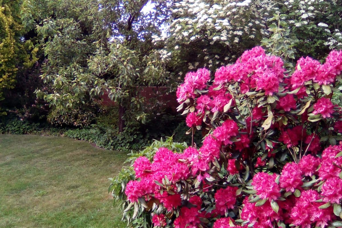 Garten der Ferienwohnung Facettenreich in Bergen