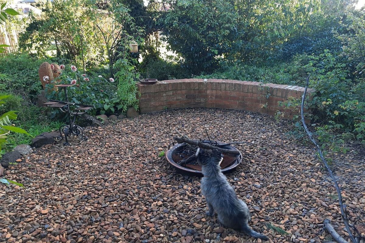 Garten der Ferienwohnung Facettenreich in Bergen