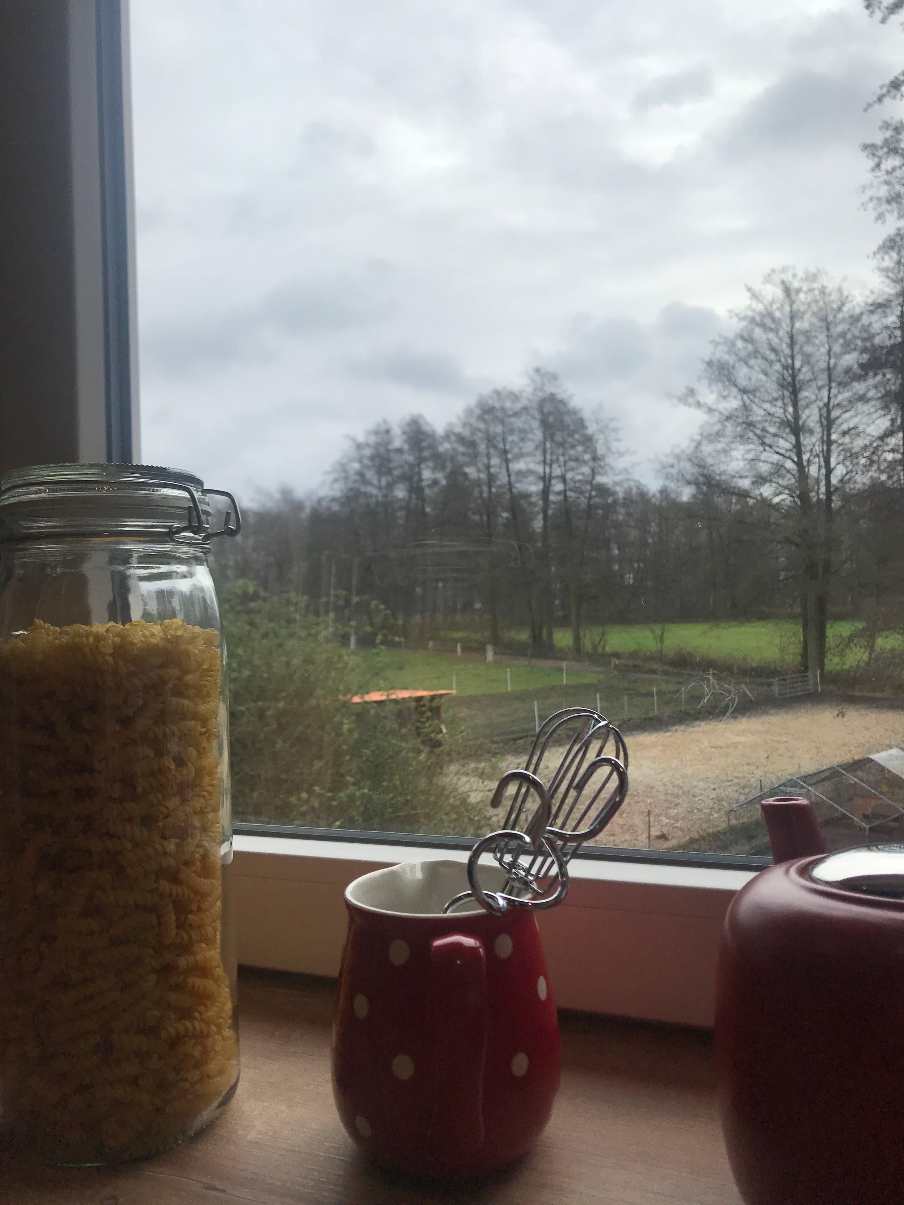 Ausblick der Ferienwohnung Wassermühle in Eschede