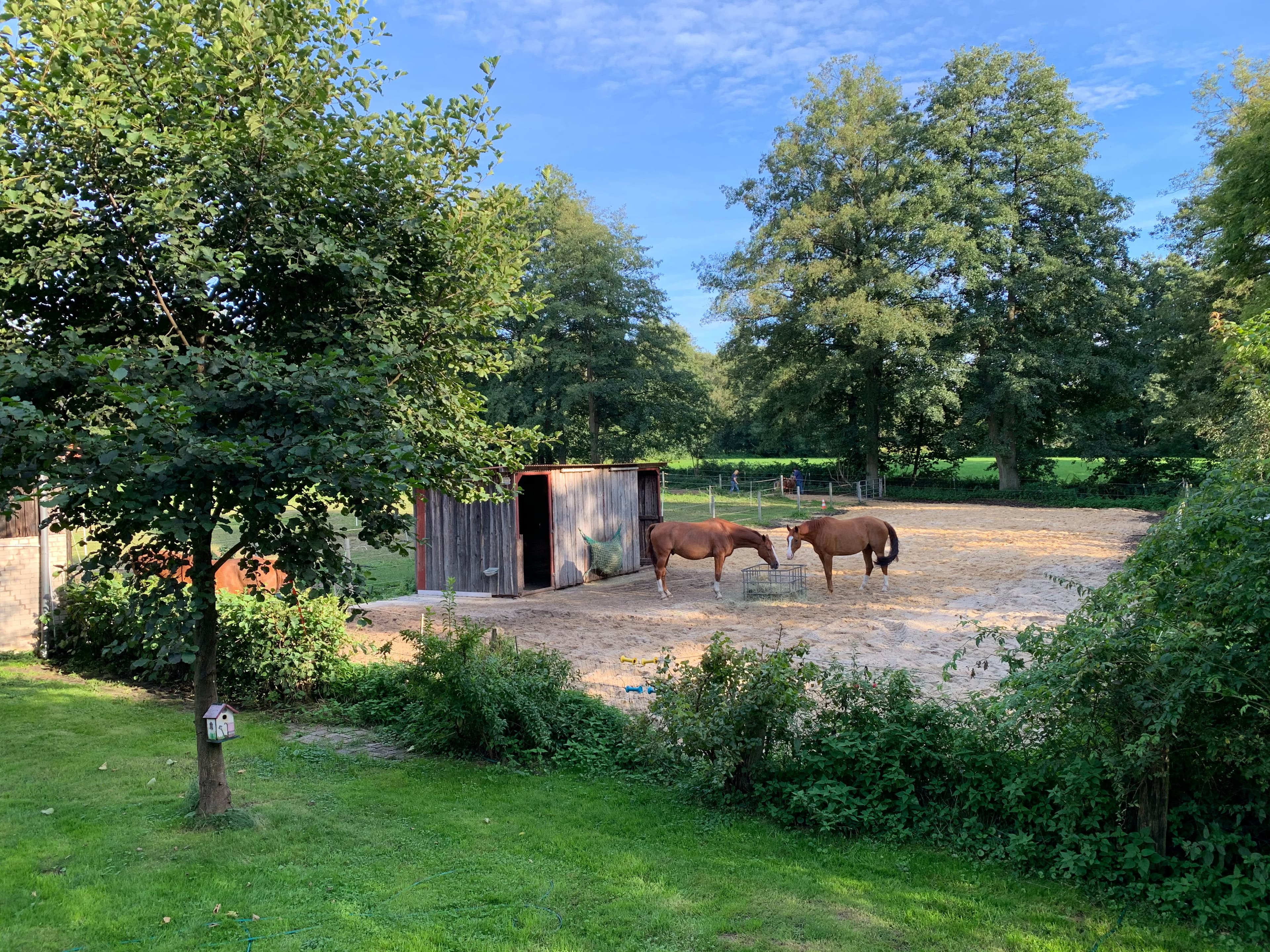 Paddock der Ferienwohnung Wassermühle in Eschede