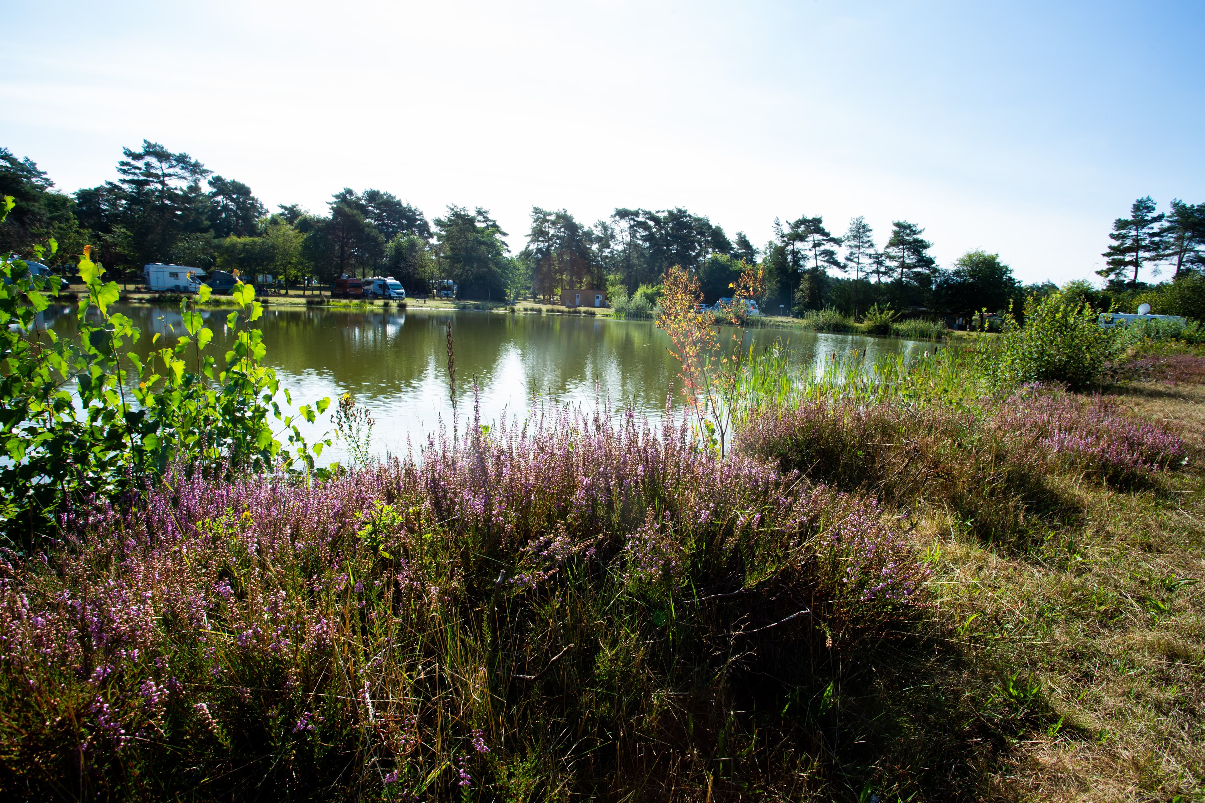 Naturcamping Lüneburger Heide Stellplätze am Badesee