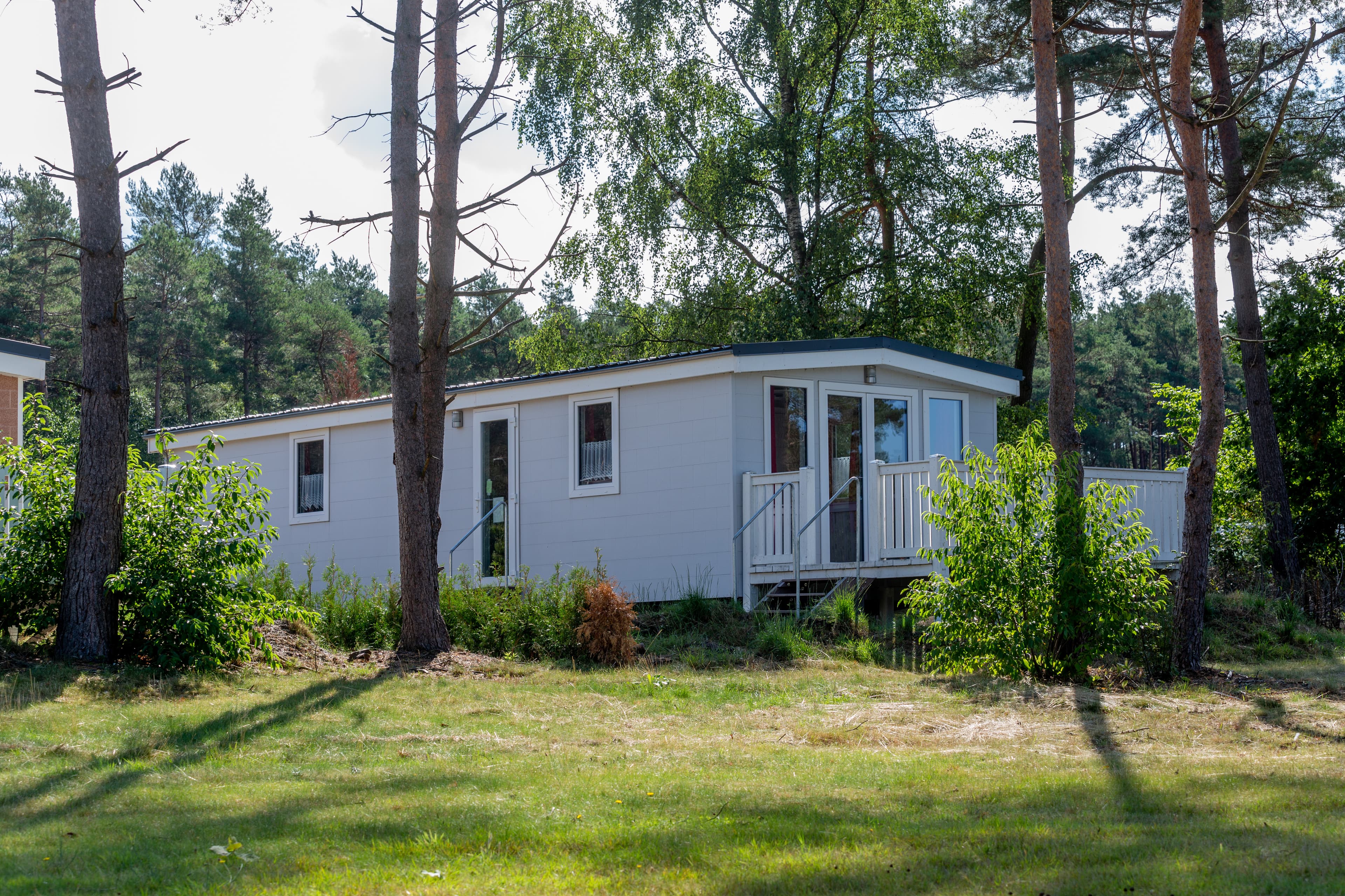 Naturcamping Lüneburger Heide Chalets und Tiny-Häuser mitten in der Natur