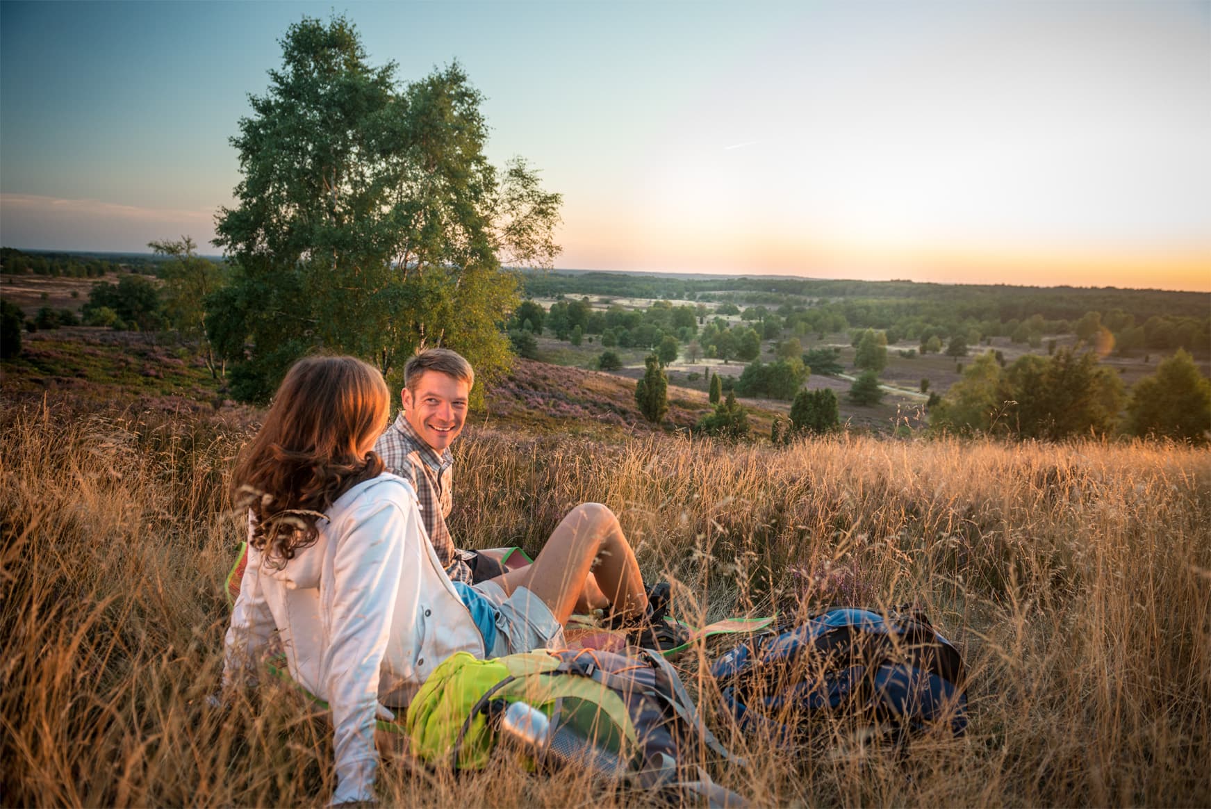 Sonnenuntergang auf dem Wilseder Berg