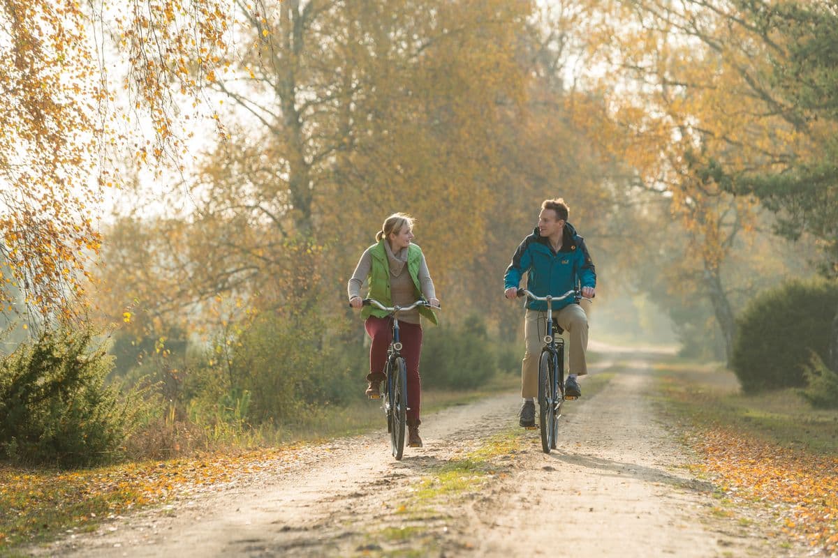 Radtour im Herbst in der Misselhorner Heide