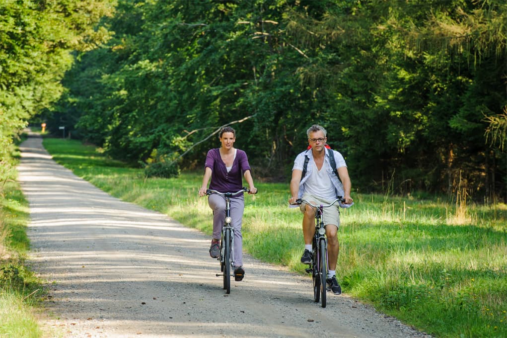 Radfahren im Naturpark Südheide