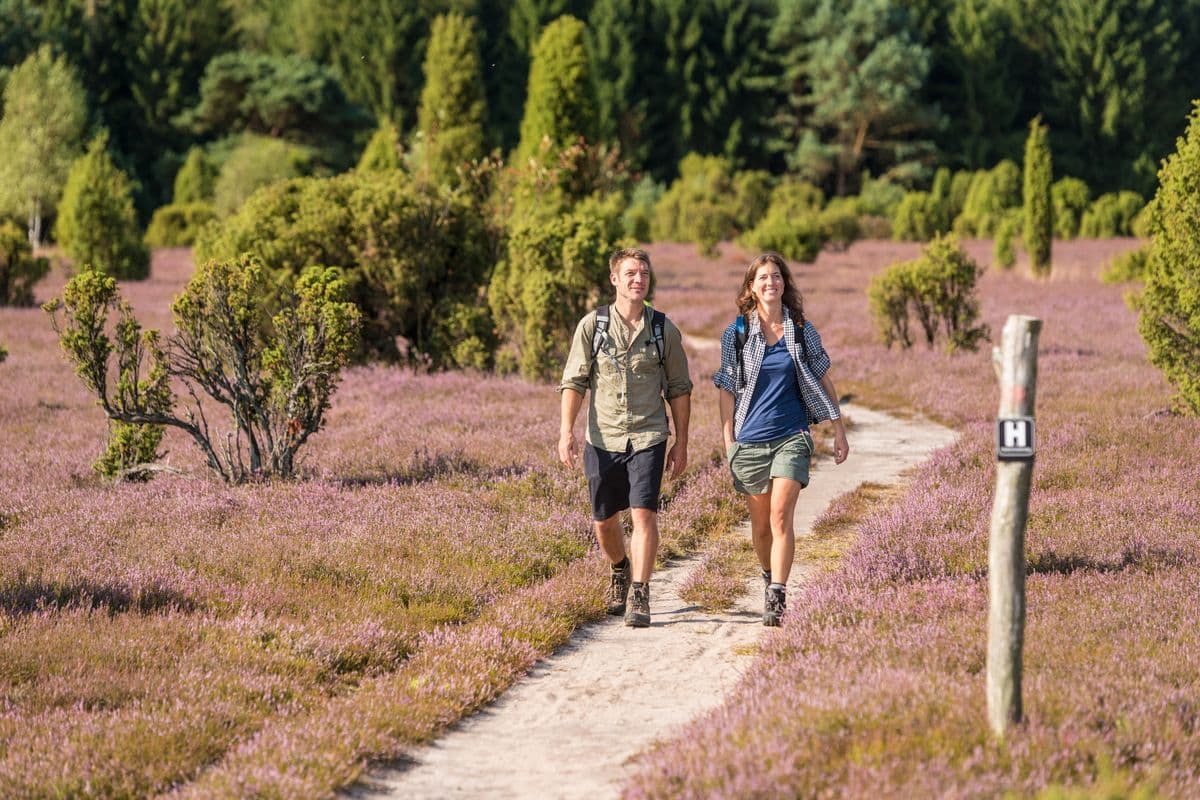 Wandern auf dem Heidschnuckenweg