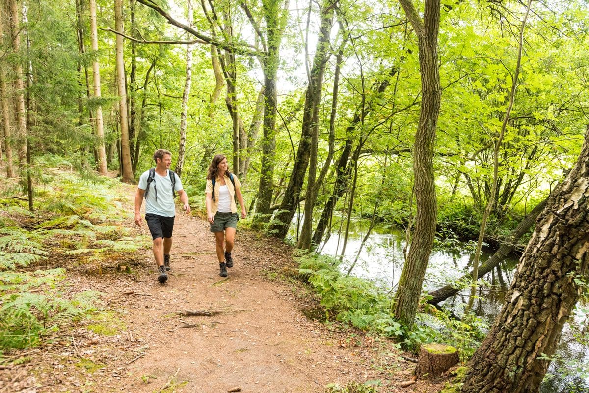 Wandern auf dem Fluss-Wald-Erlebnispfad