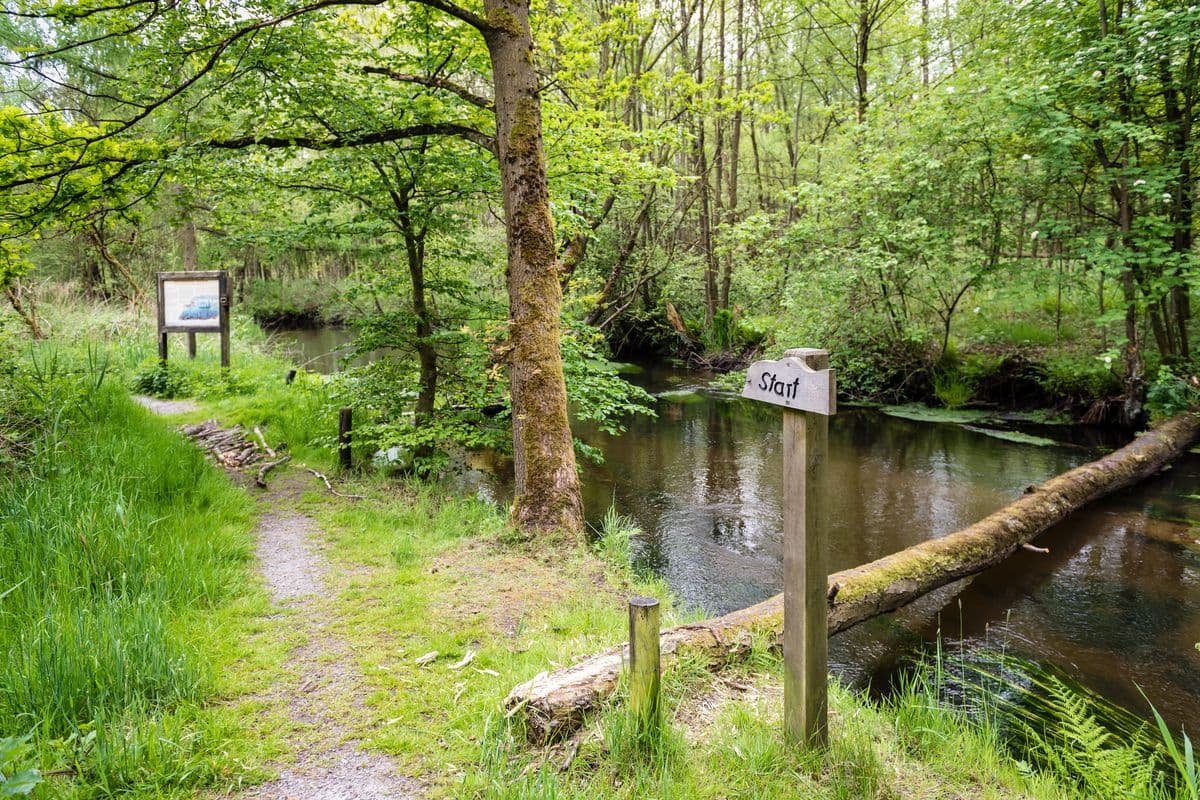 Wandern auf dem Fluss-Wald-Erlebnispfad
