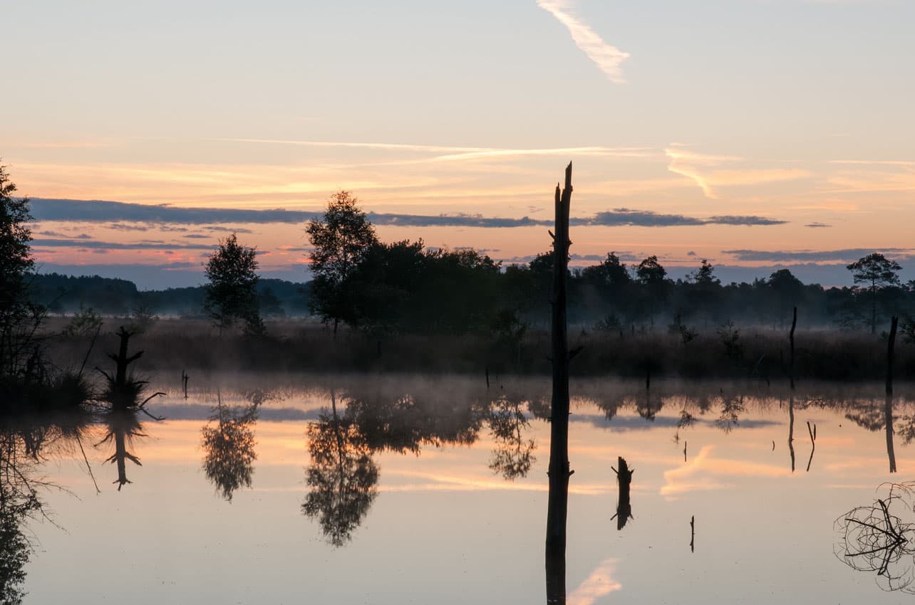 Geheimnisvolles Pietzmoor in Schneverdingen