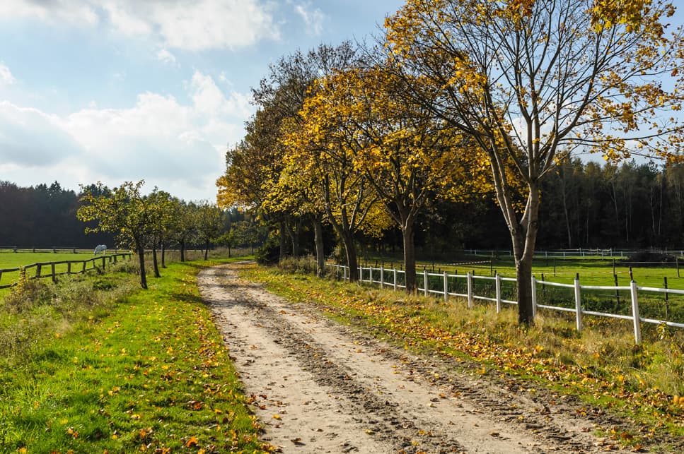 Heidschnuckenweg bei Weesen Wandern