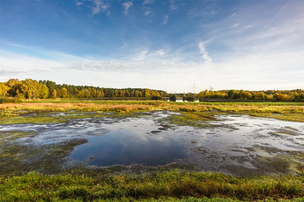 Seenlandschaft Auschauteiche