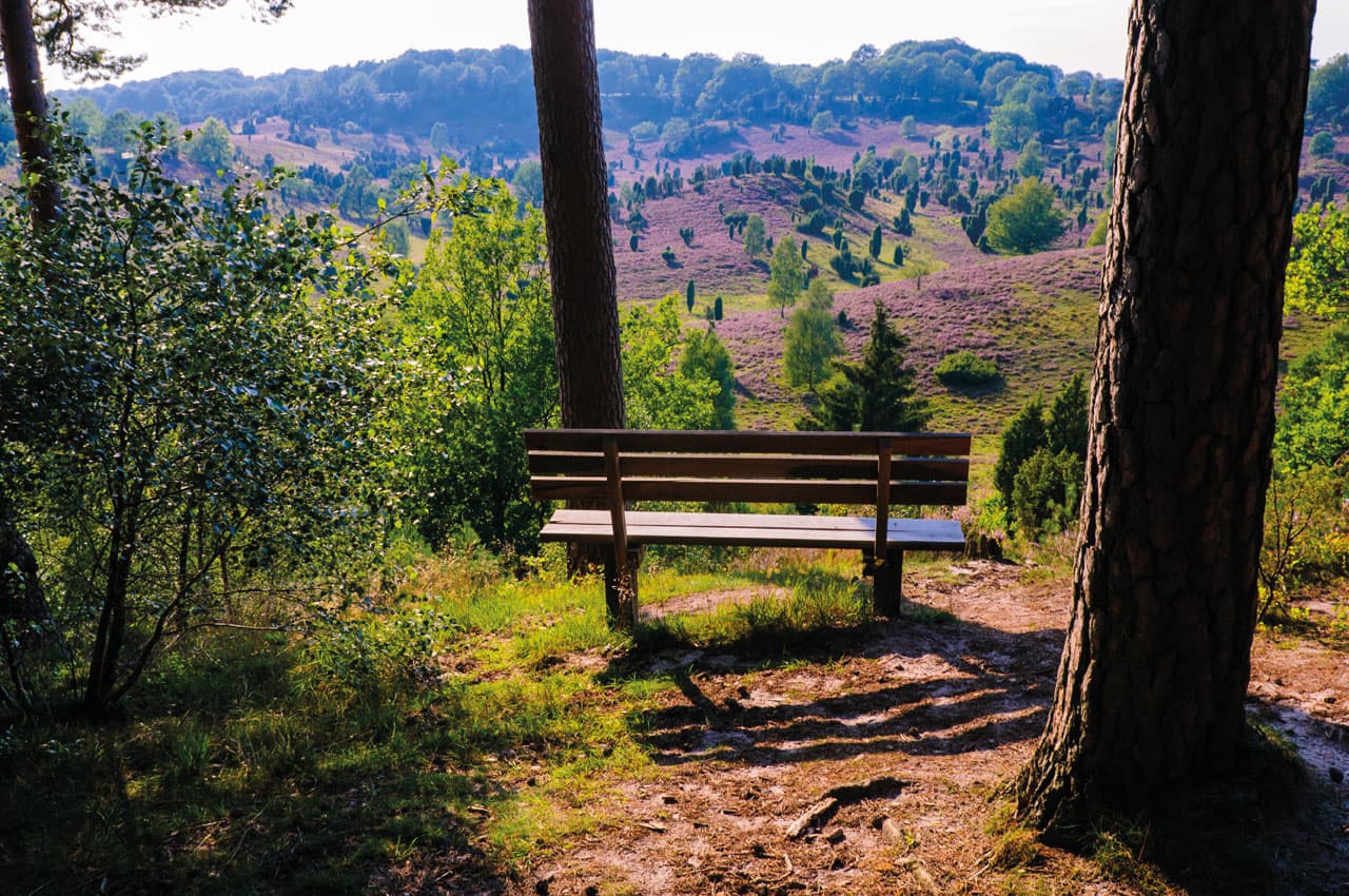 Blick in den Totengrund am Wanderweg Heidschnuckenweg